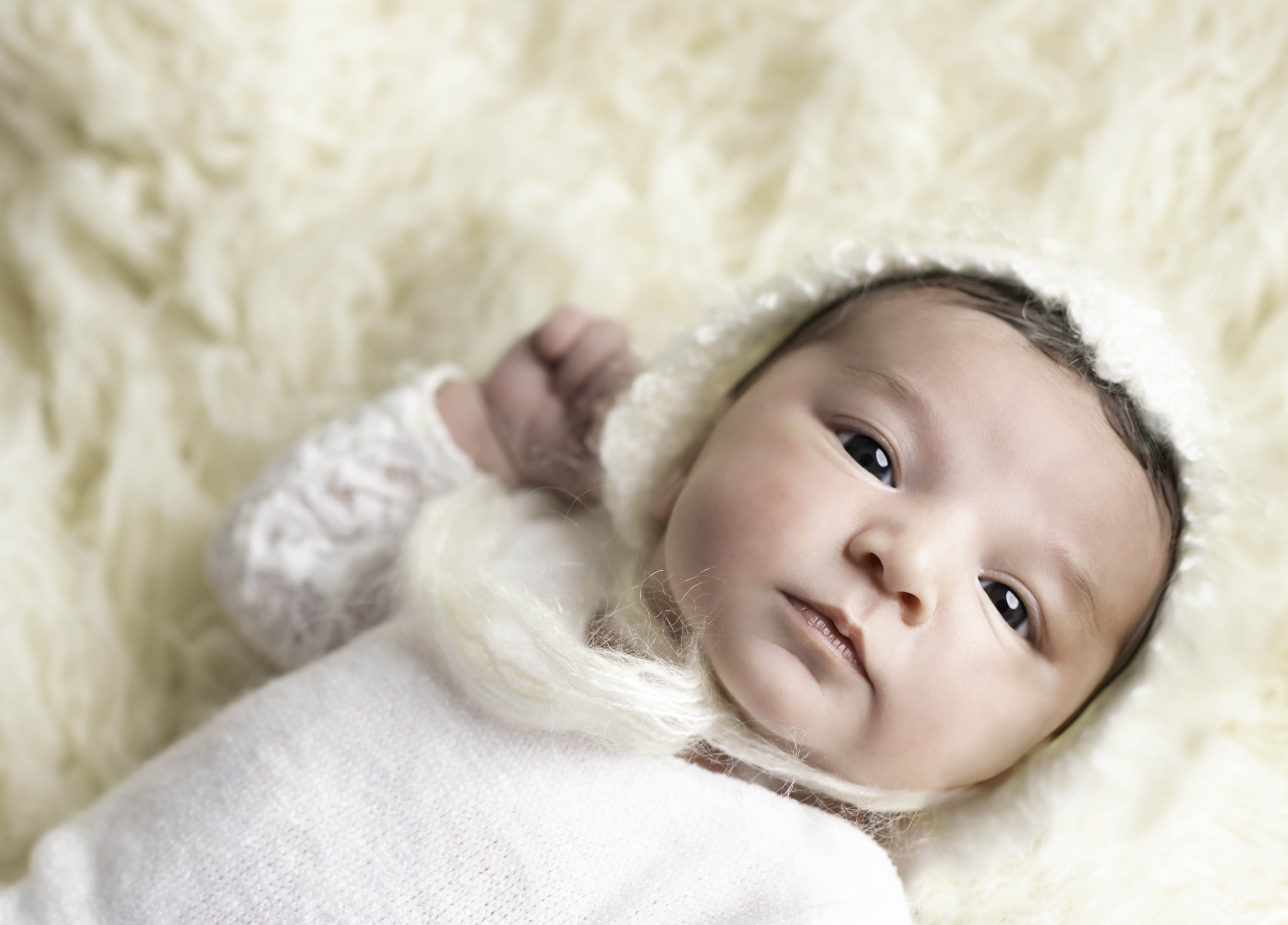 IMG_מוקטן6069ן