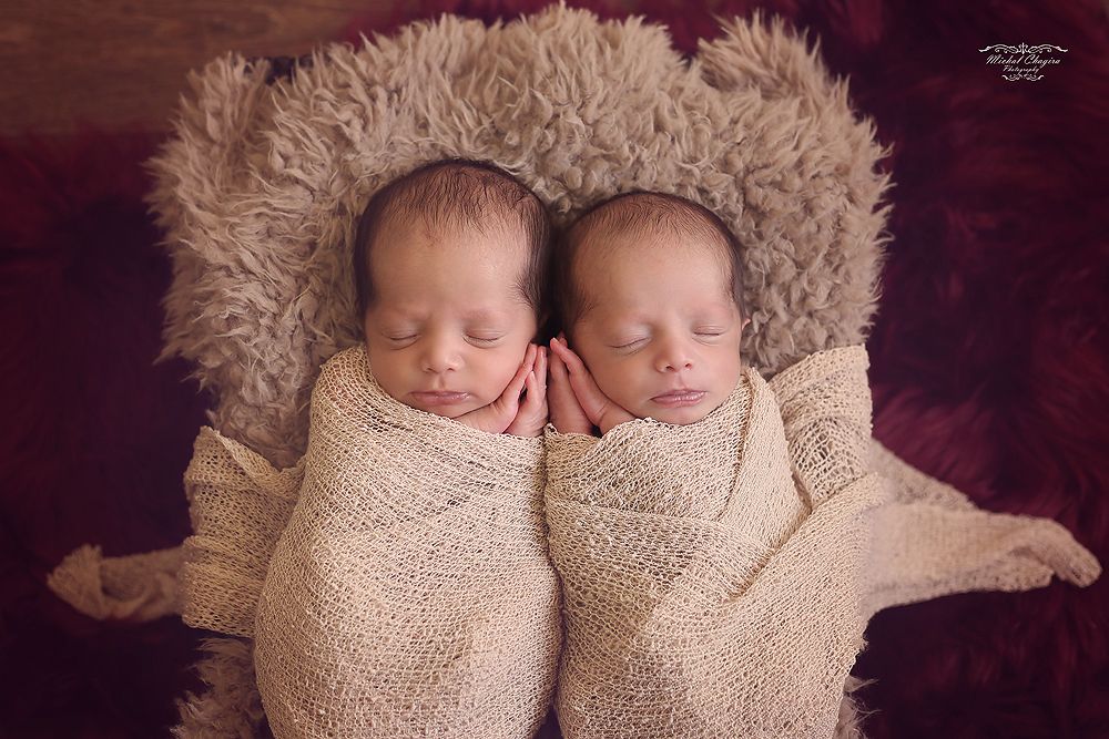 IMG_ טעימה ב0241.jpg