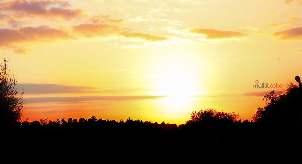 IMG_0373 Malki-Lasker .jpg