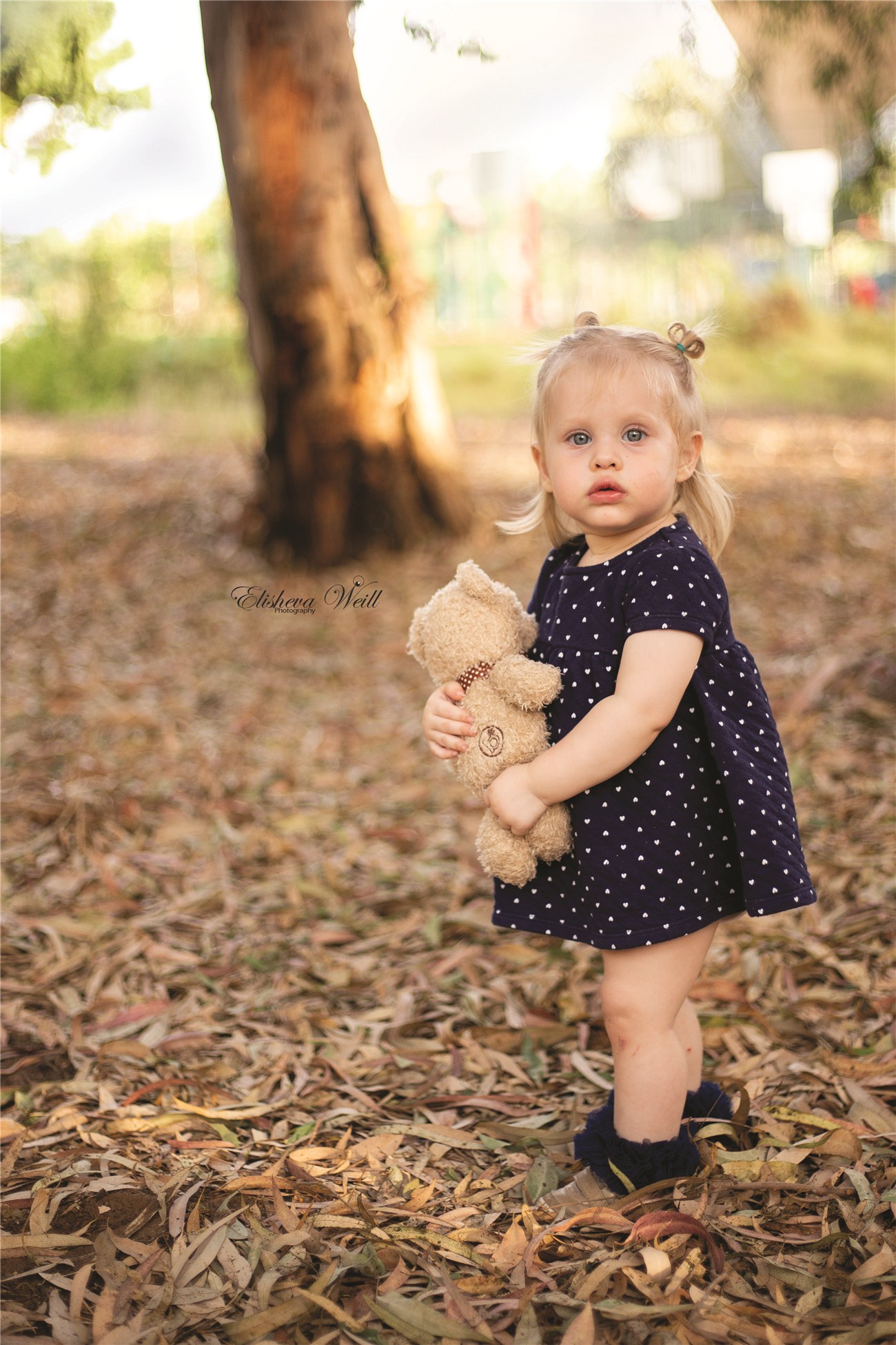 IMG_0717-1^00511_07_8237_