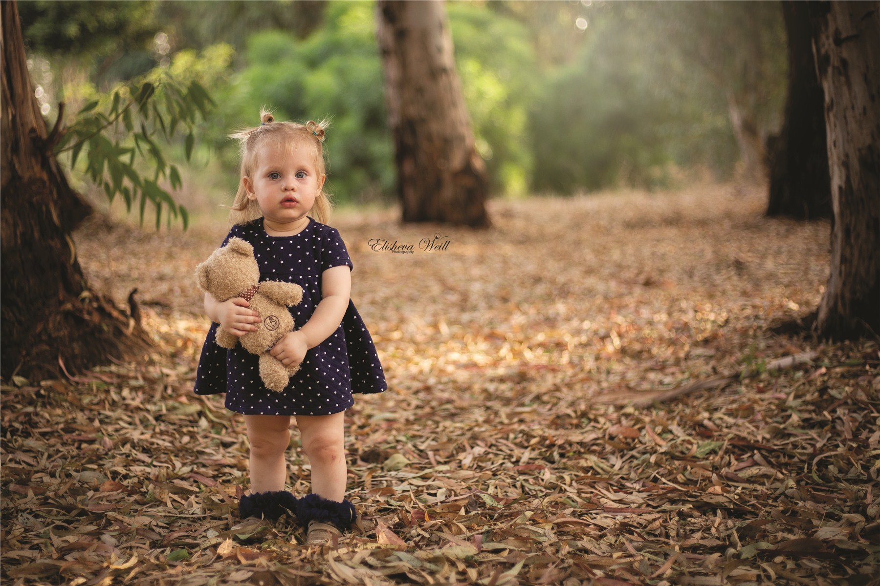 IMG_0718-1^00521_07_8237_