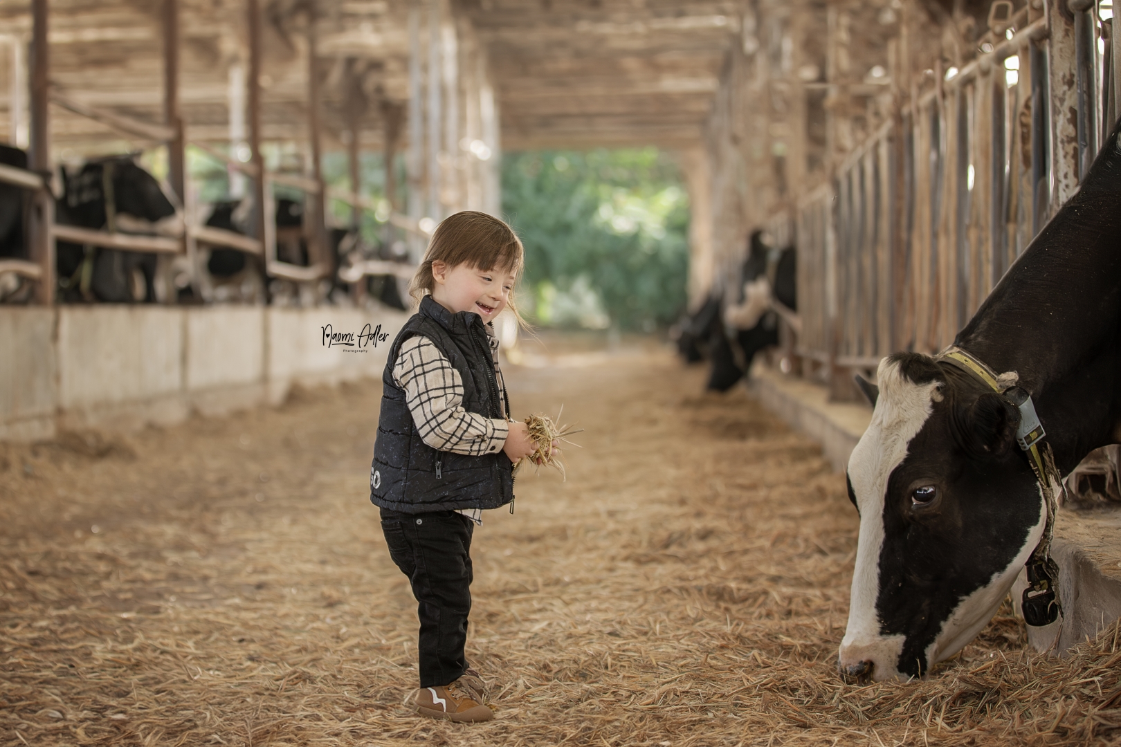 IMG_1153 (Large).jpg