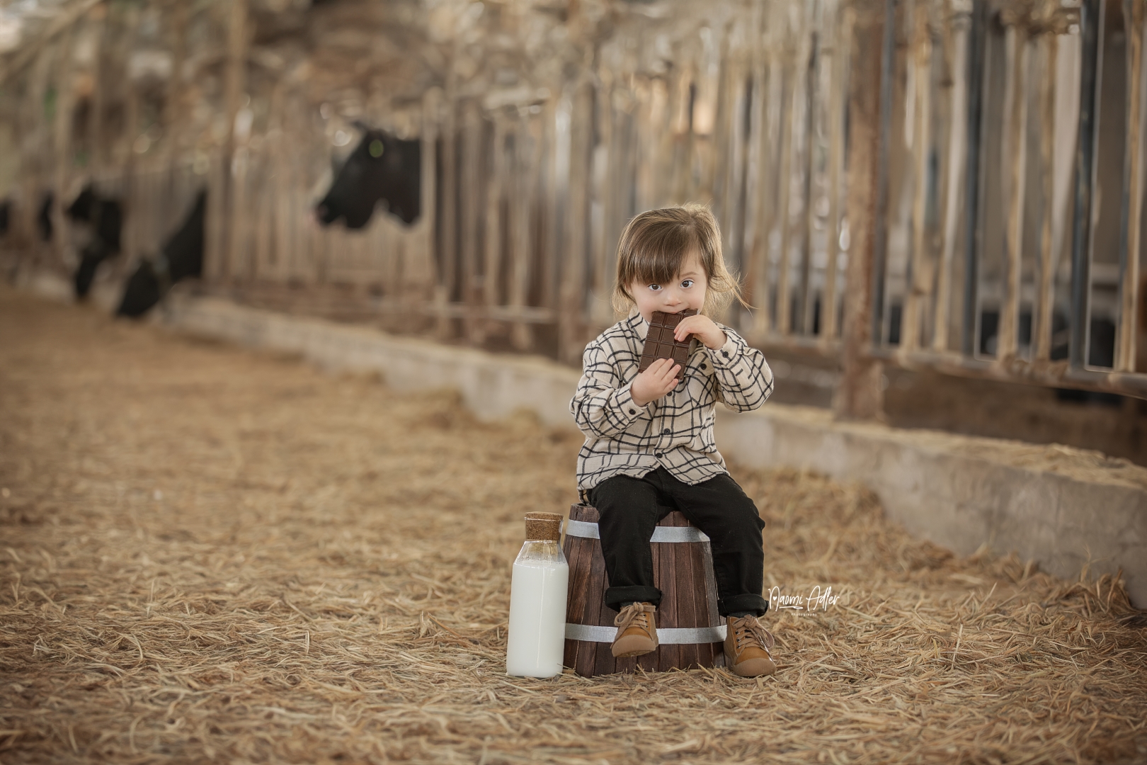 IMG_1184 (Large).jpg