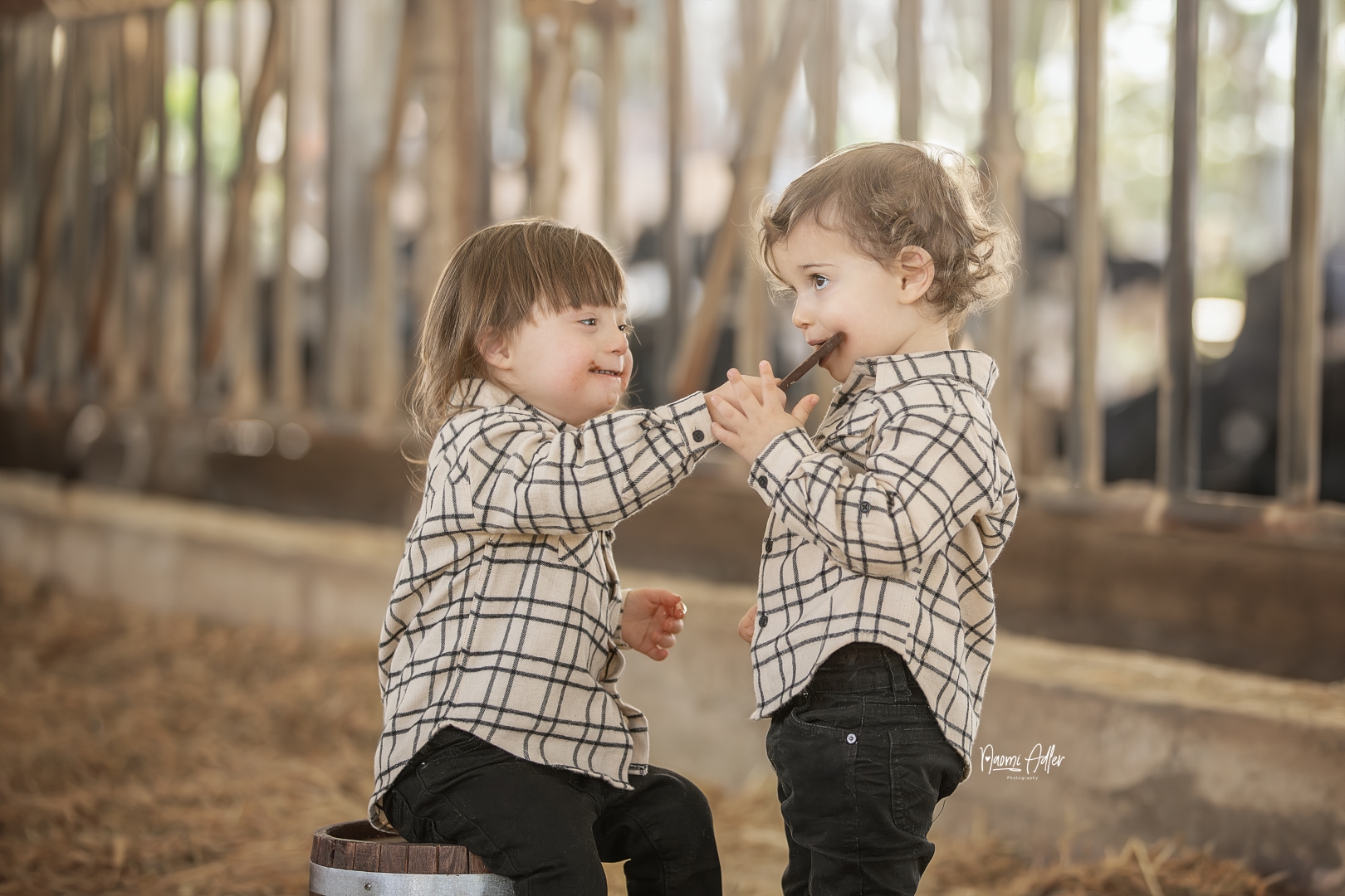 IMG_1204 (Large).jpg