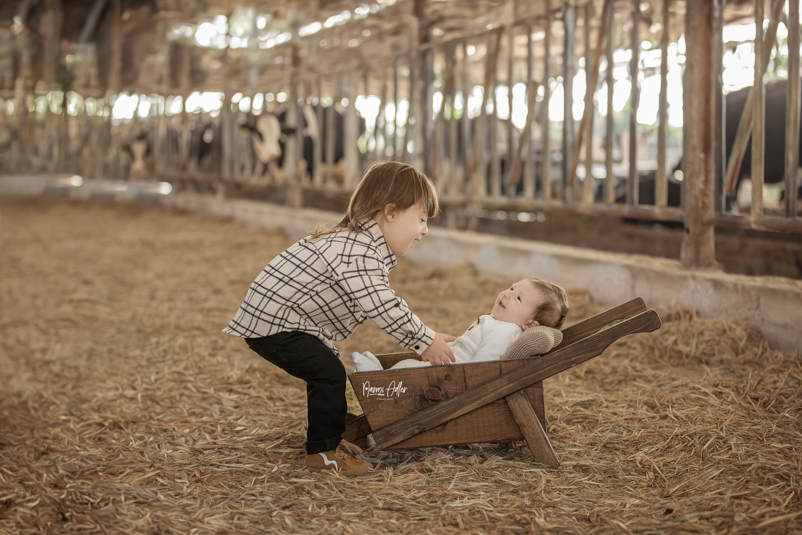 IMG_1222 (Large).jpg