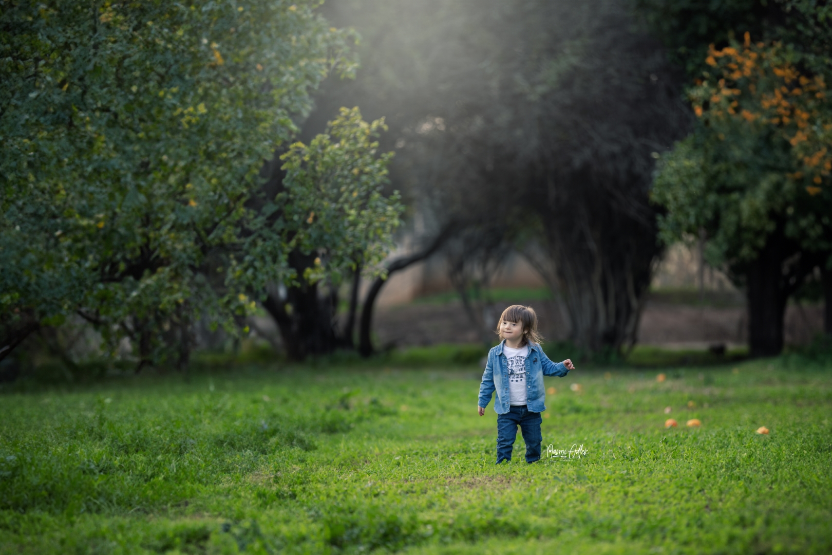 IMG_1336 (Large).jpg