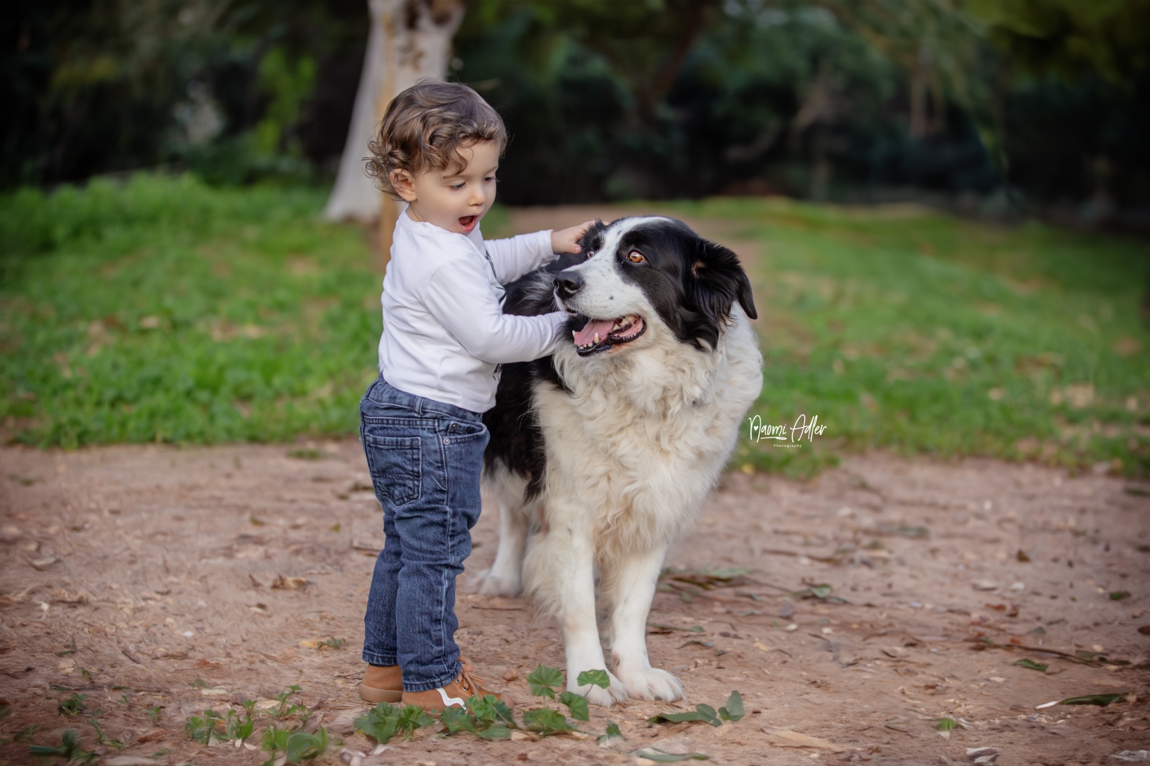 IMG_1352 (Large).jpg