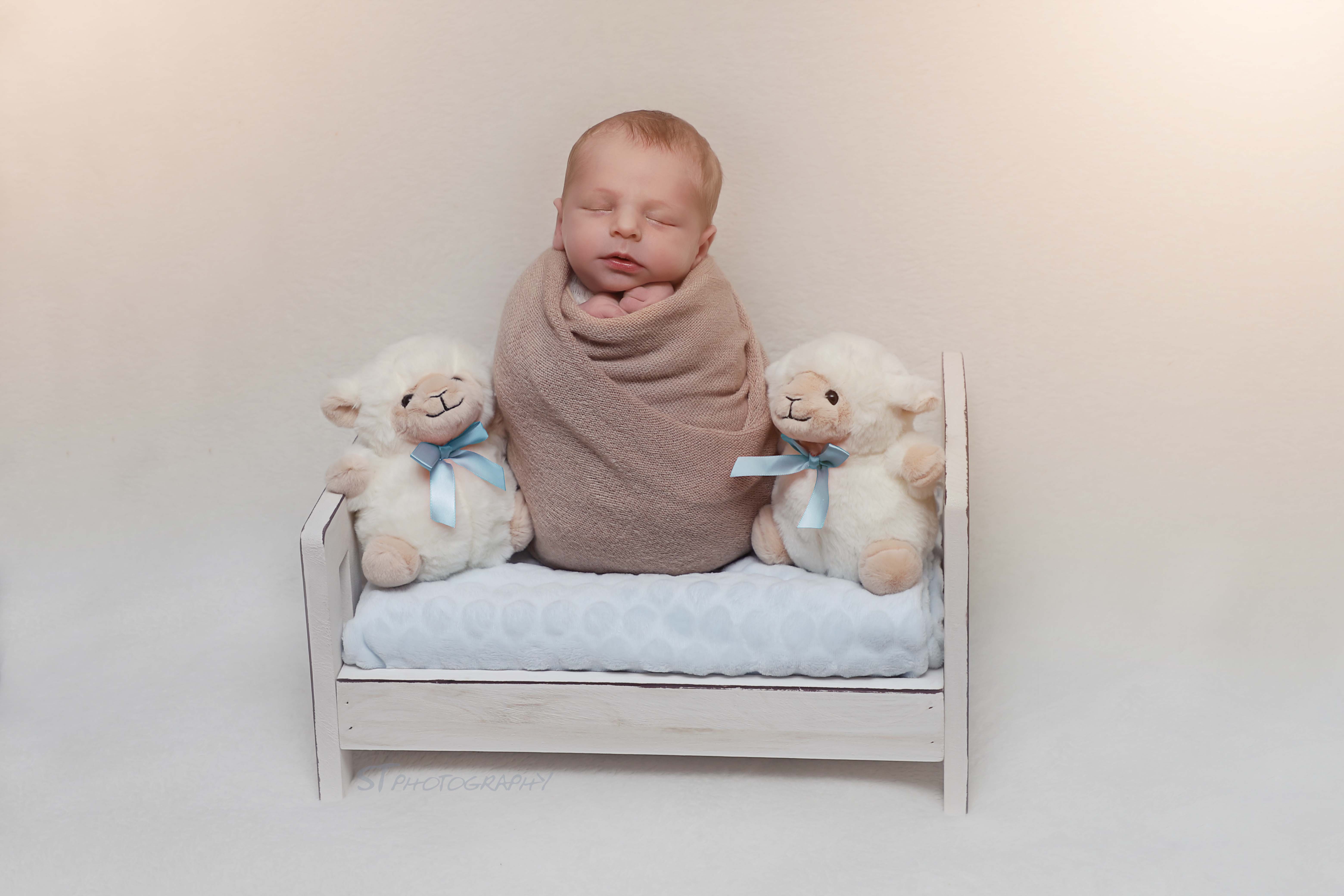 IMG_1748מעובד מואר.jpg