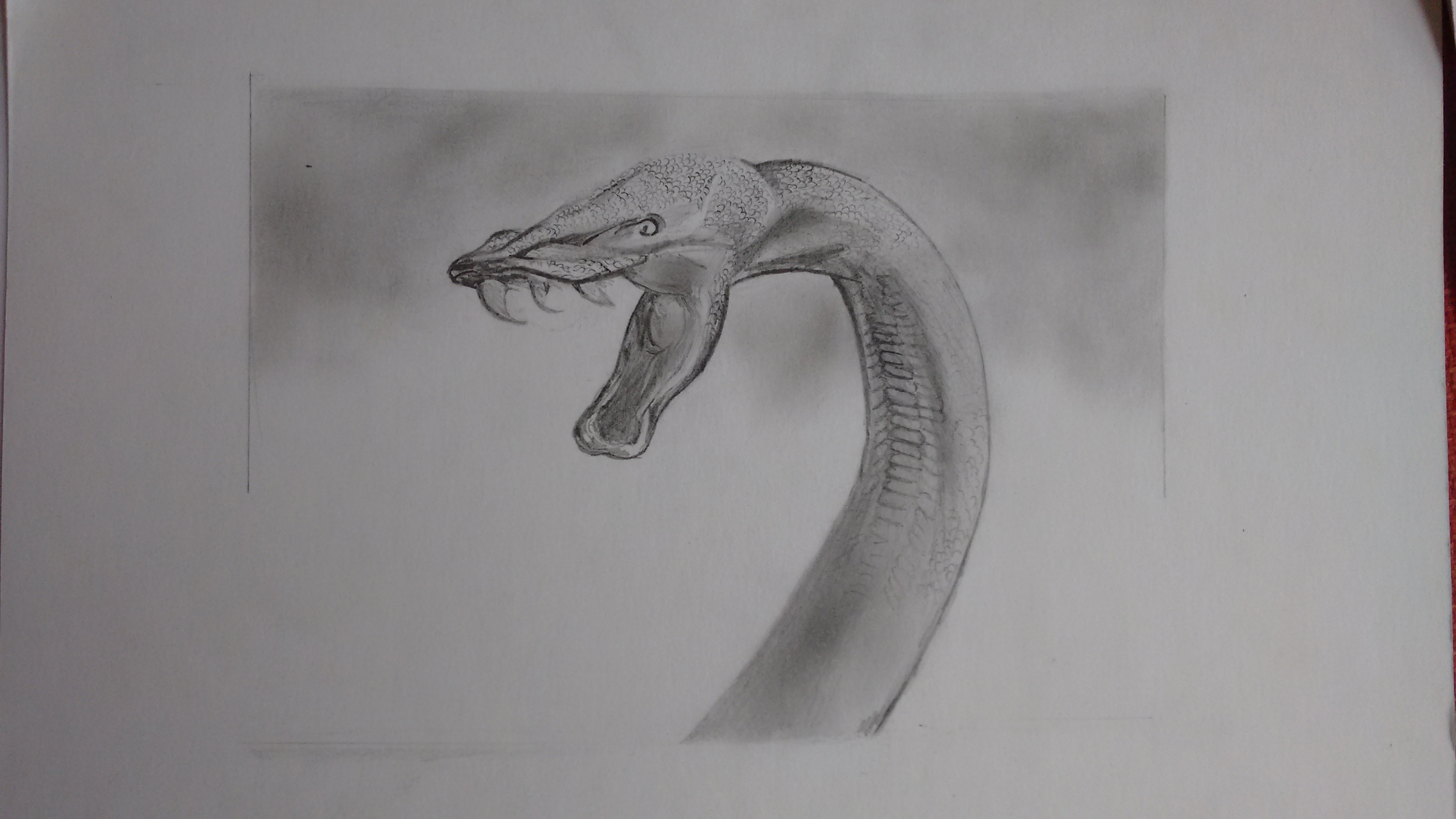 IMG_20181218_101735855