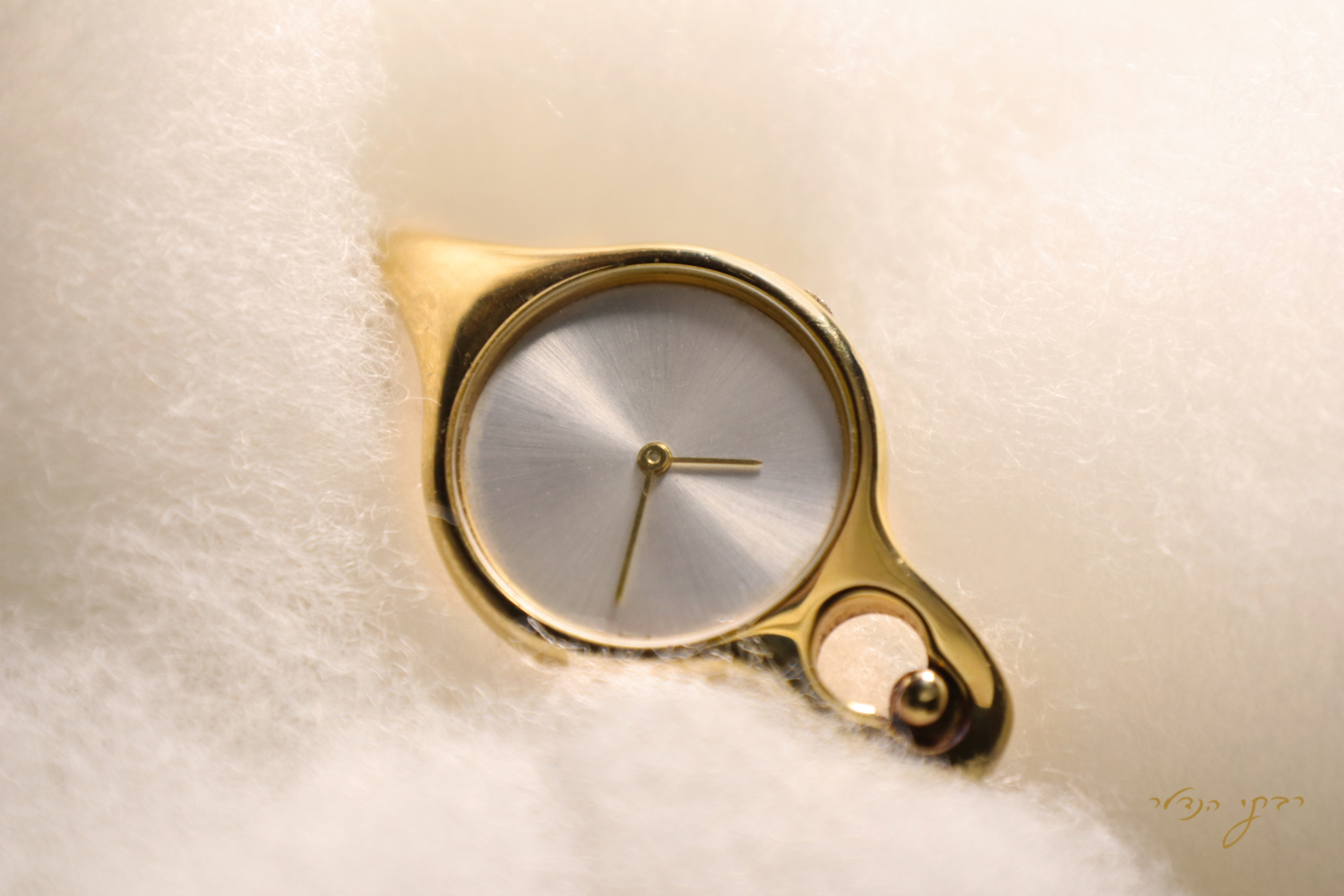 IMG_2078 מוקטן.jpg