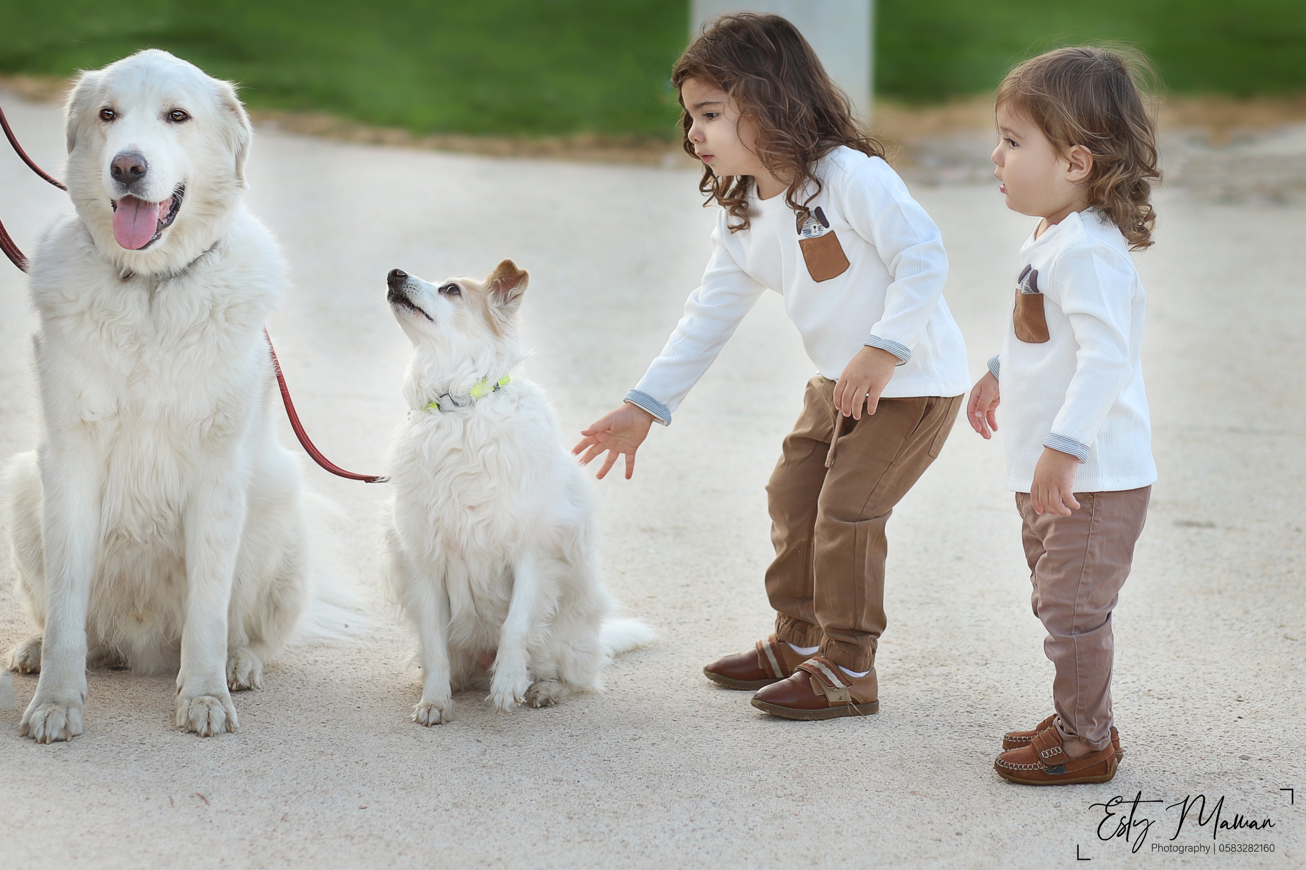 IMG_2582 copy (1).jpg