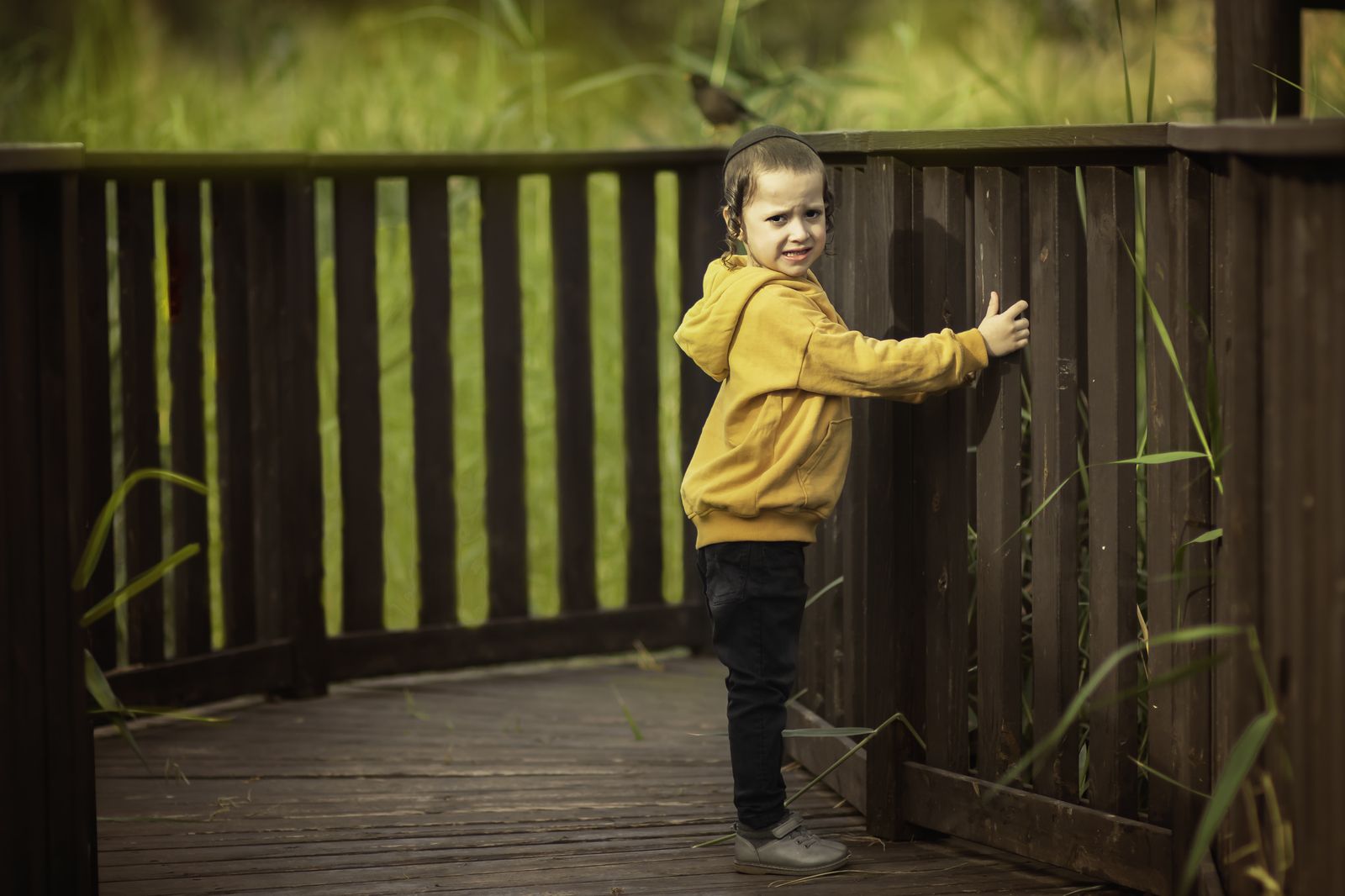 IMG_4752-Edit copy_1600x1066.jpg