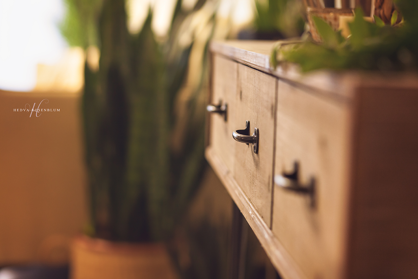 IMG_4839.jpg מוקטן