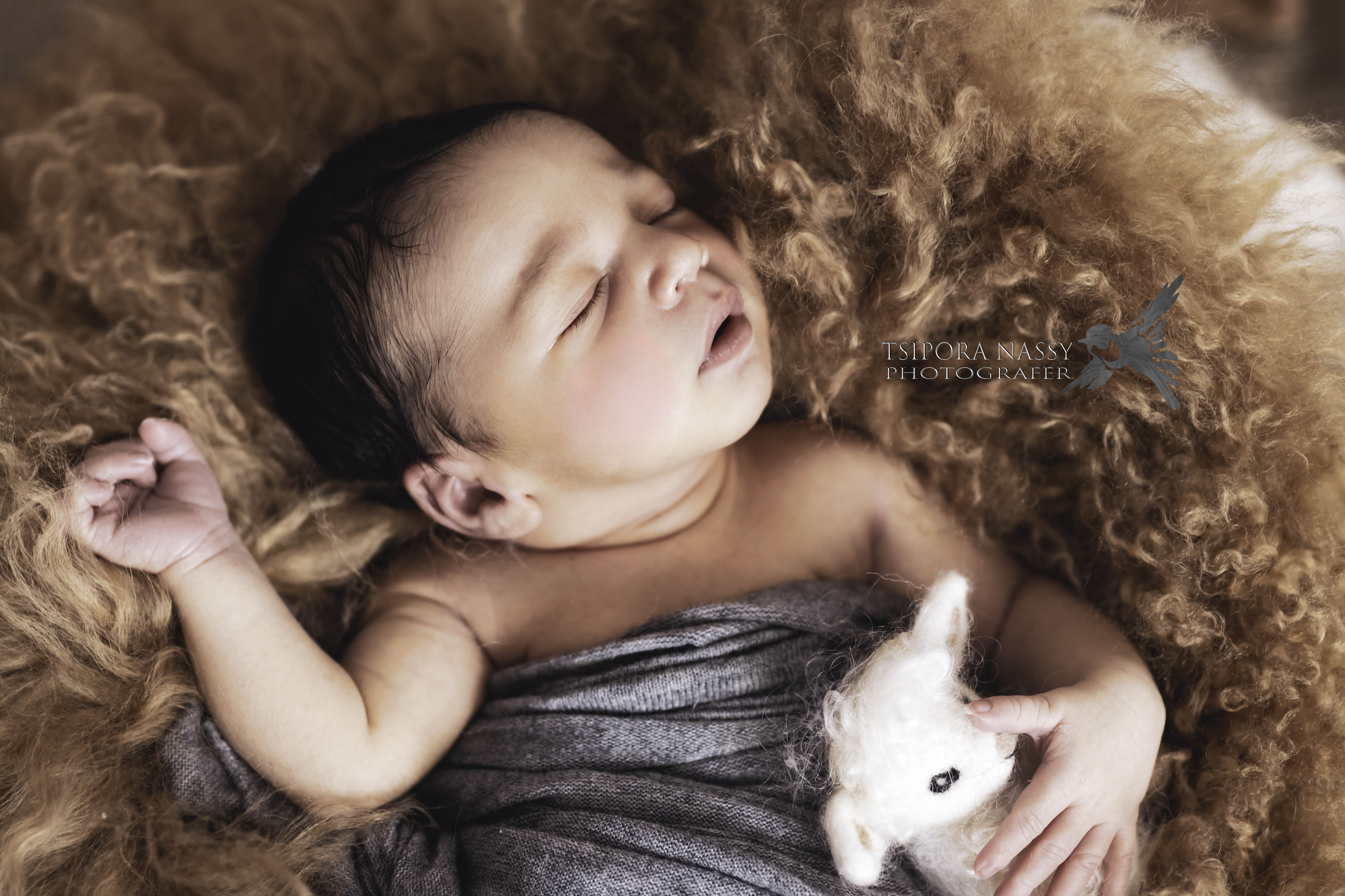 IMG_5086+מוקטןלוגו אנגלית