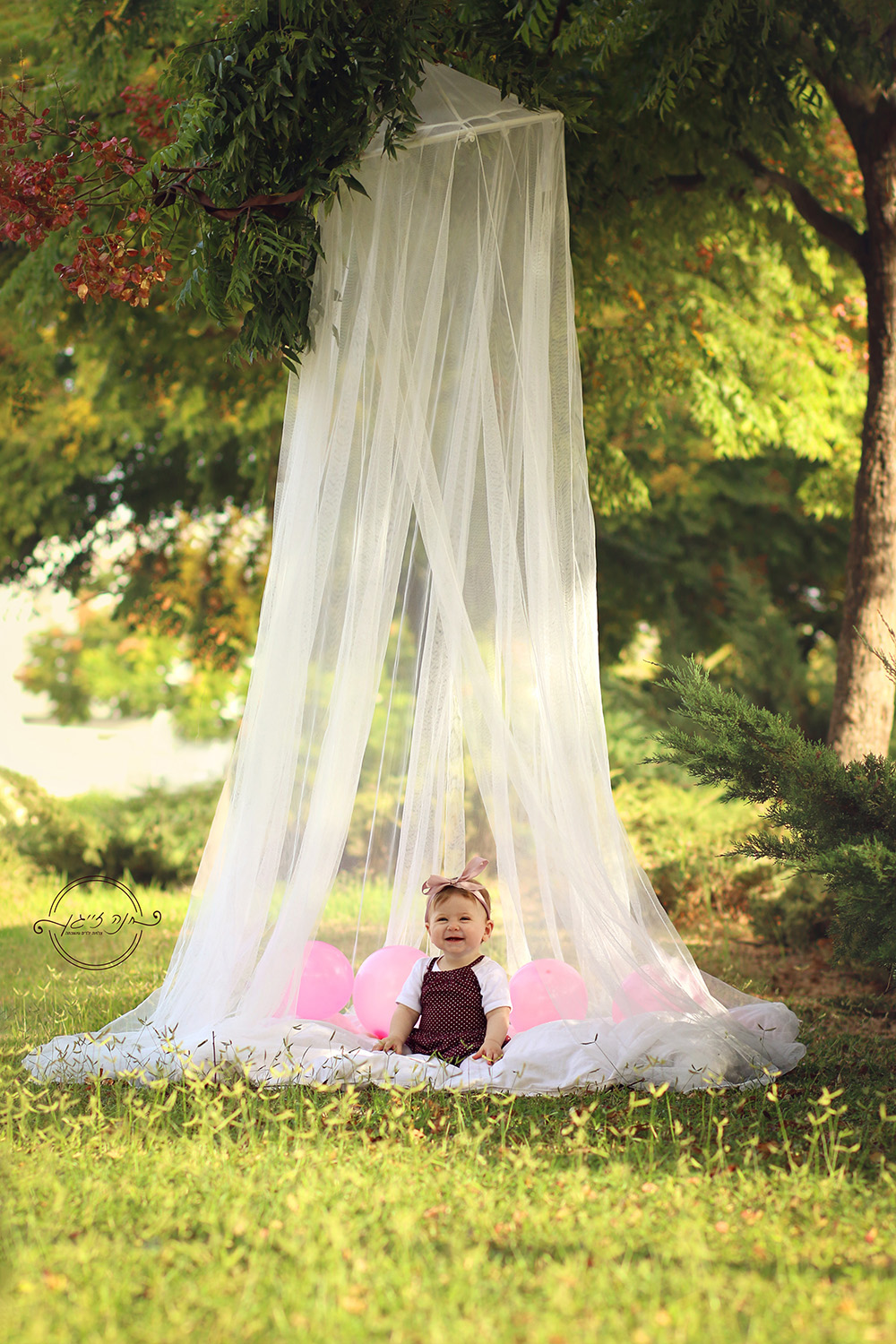 IMG_5701מוקטןערוך