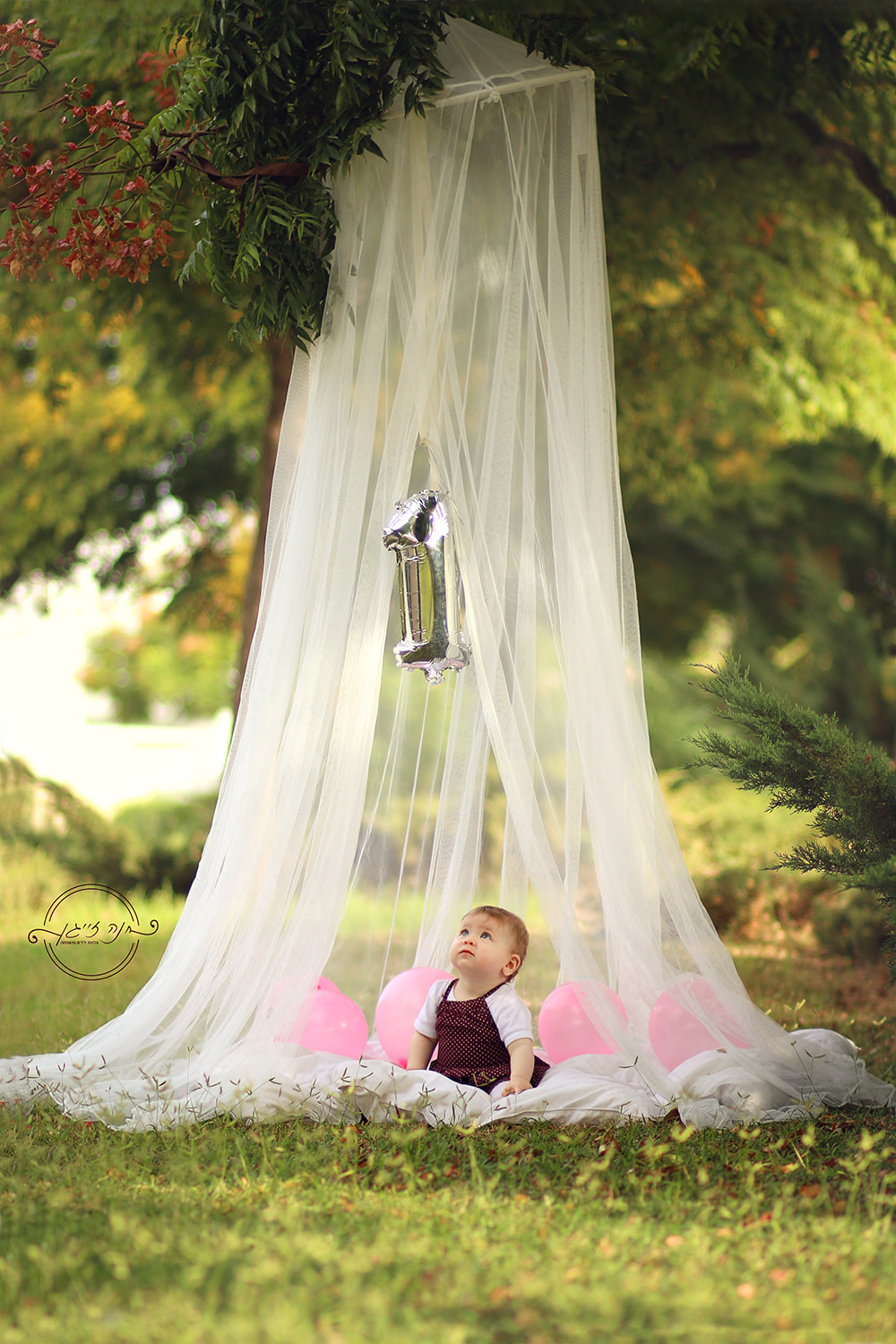 IMG_5749ערוךמוקטן