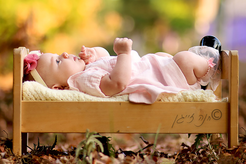 IMG_60162 - עותק