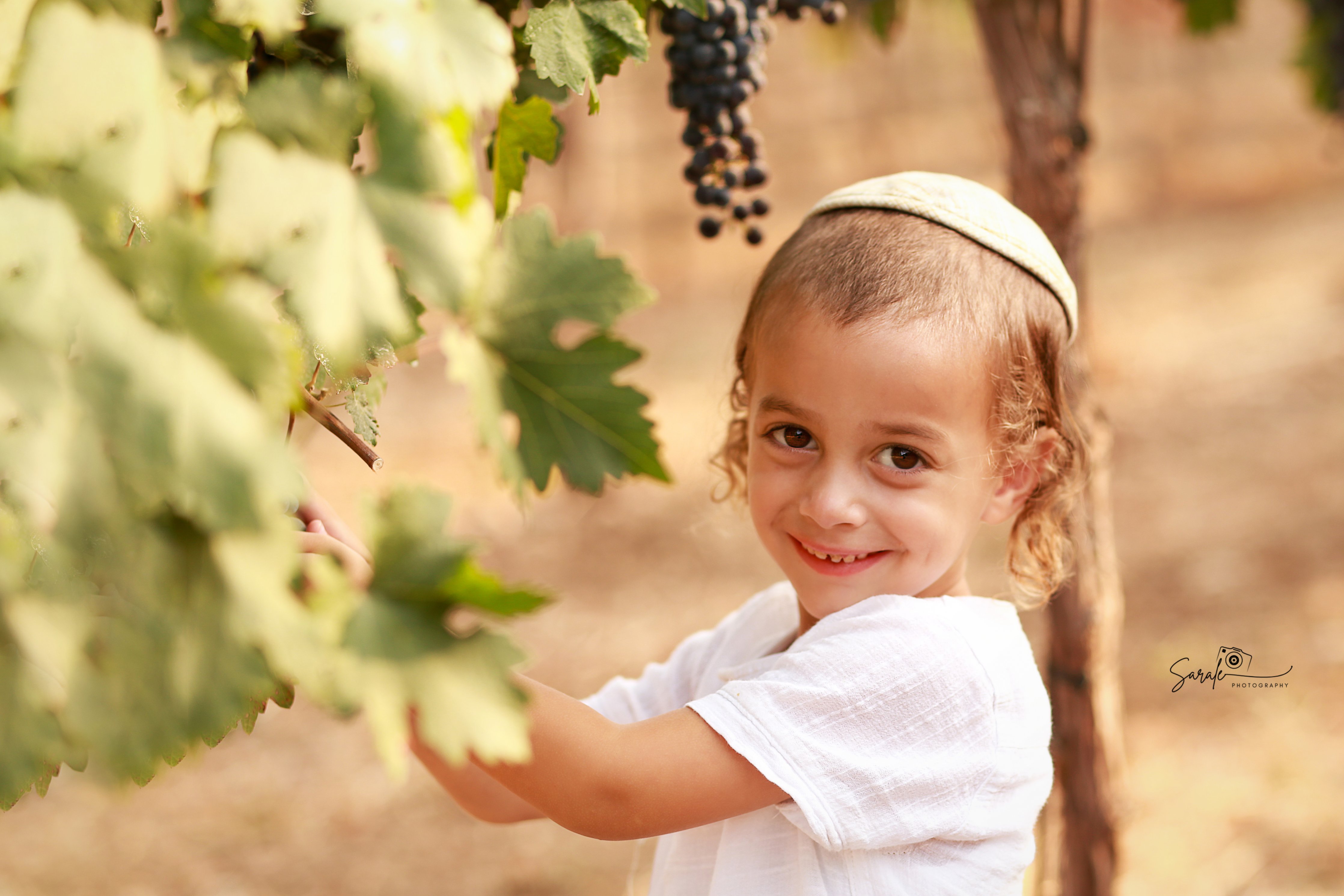 IMG_6128 copy 2לוגו.jpg