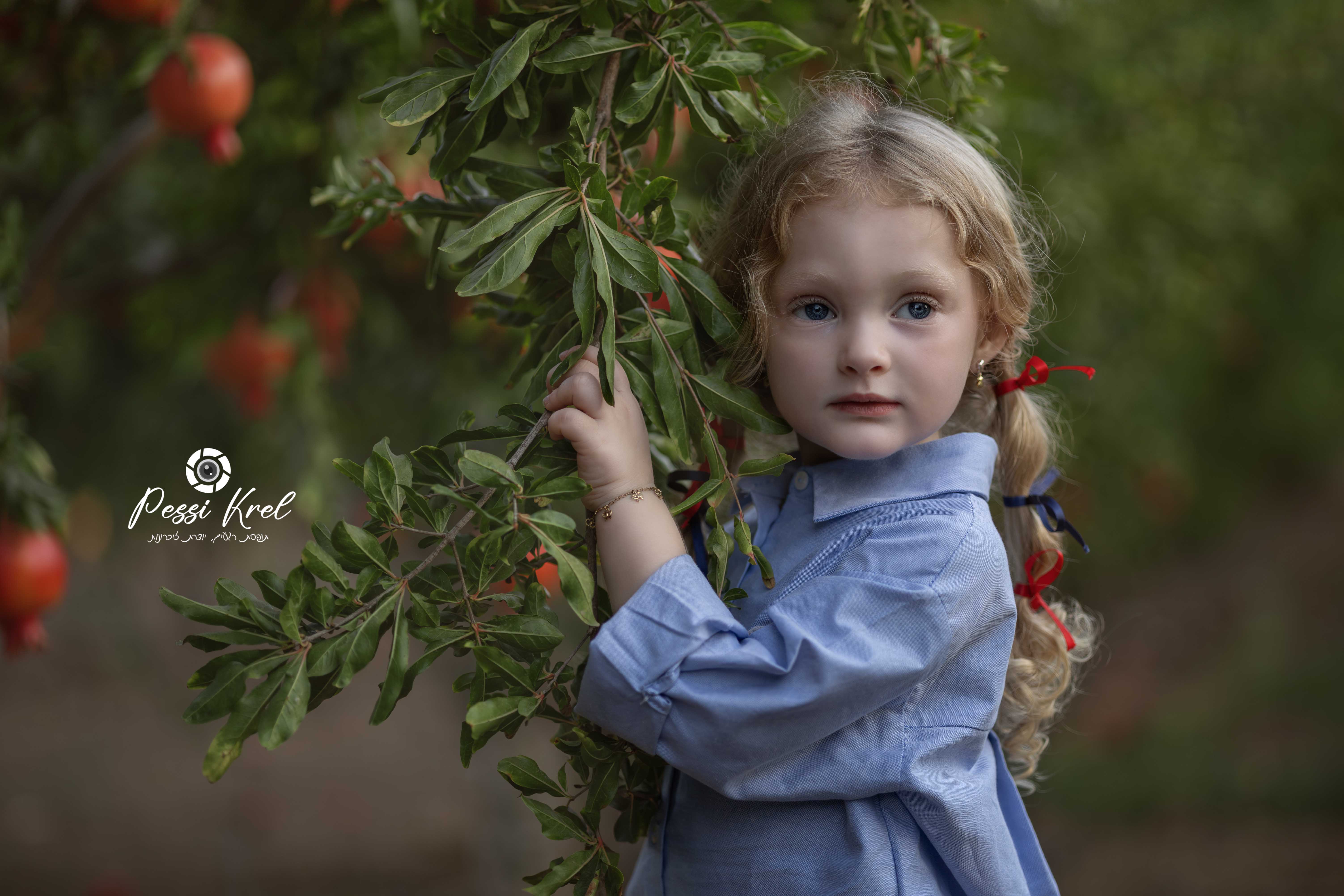 IMG_6208-Enhanced-NR-2 copy.jpg