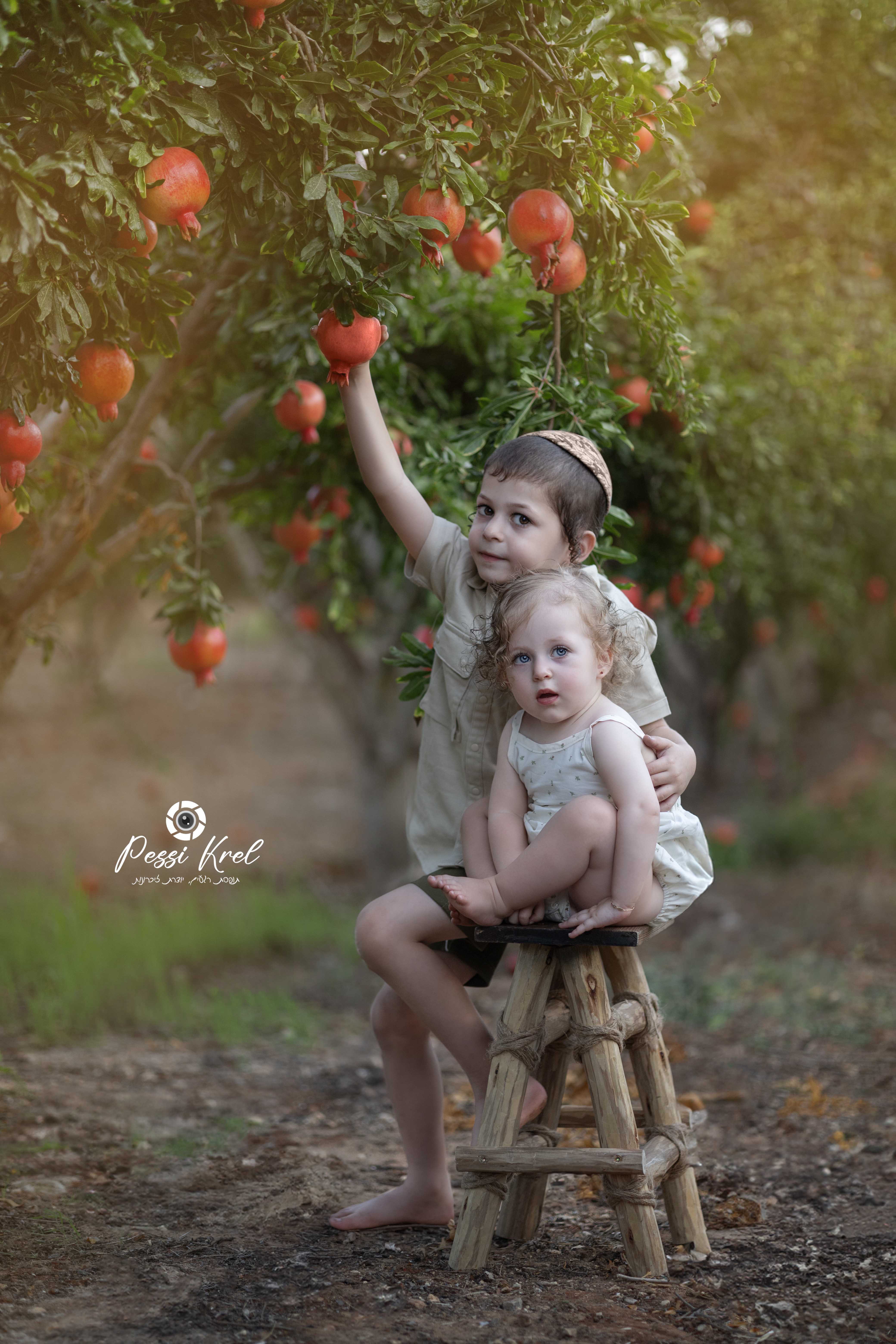 IMG_6411 איכות מלאה copy.jpg