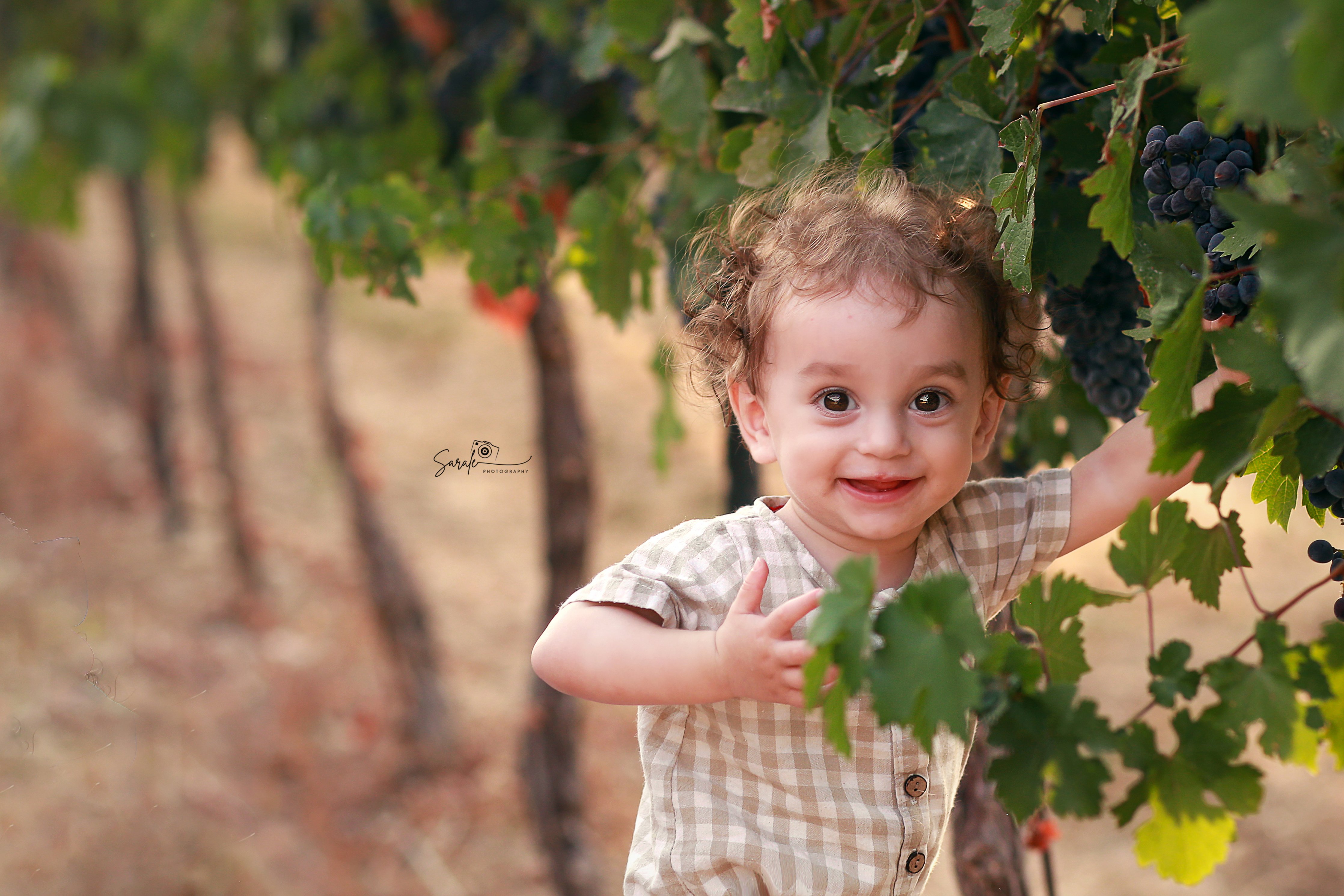 IMG_6428 copy 2לוגו.jpg