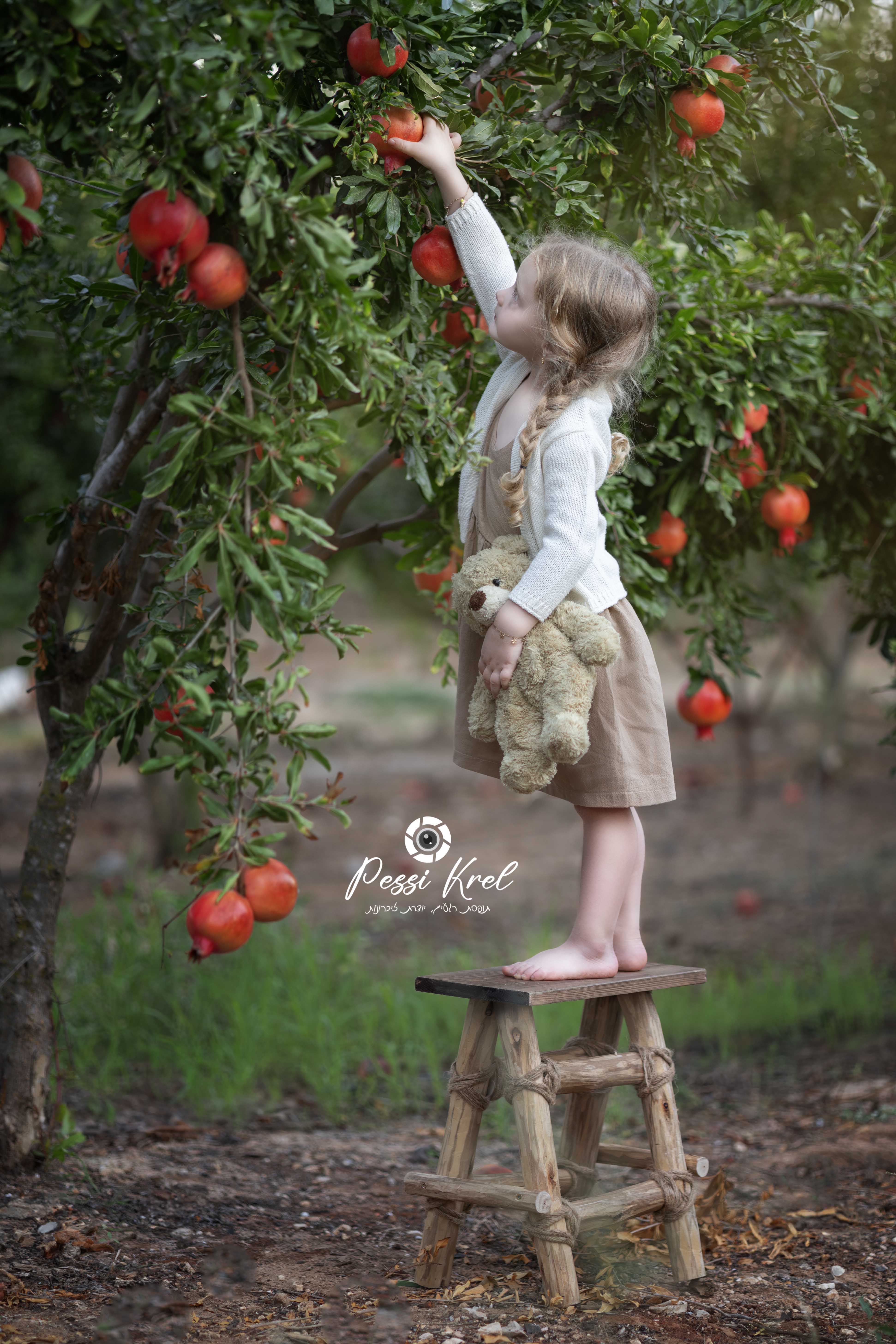 IMG_6569-Enhanced-NR copy.jpg