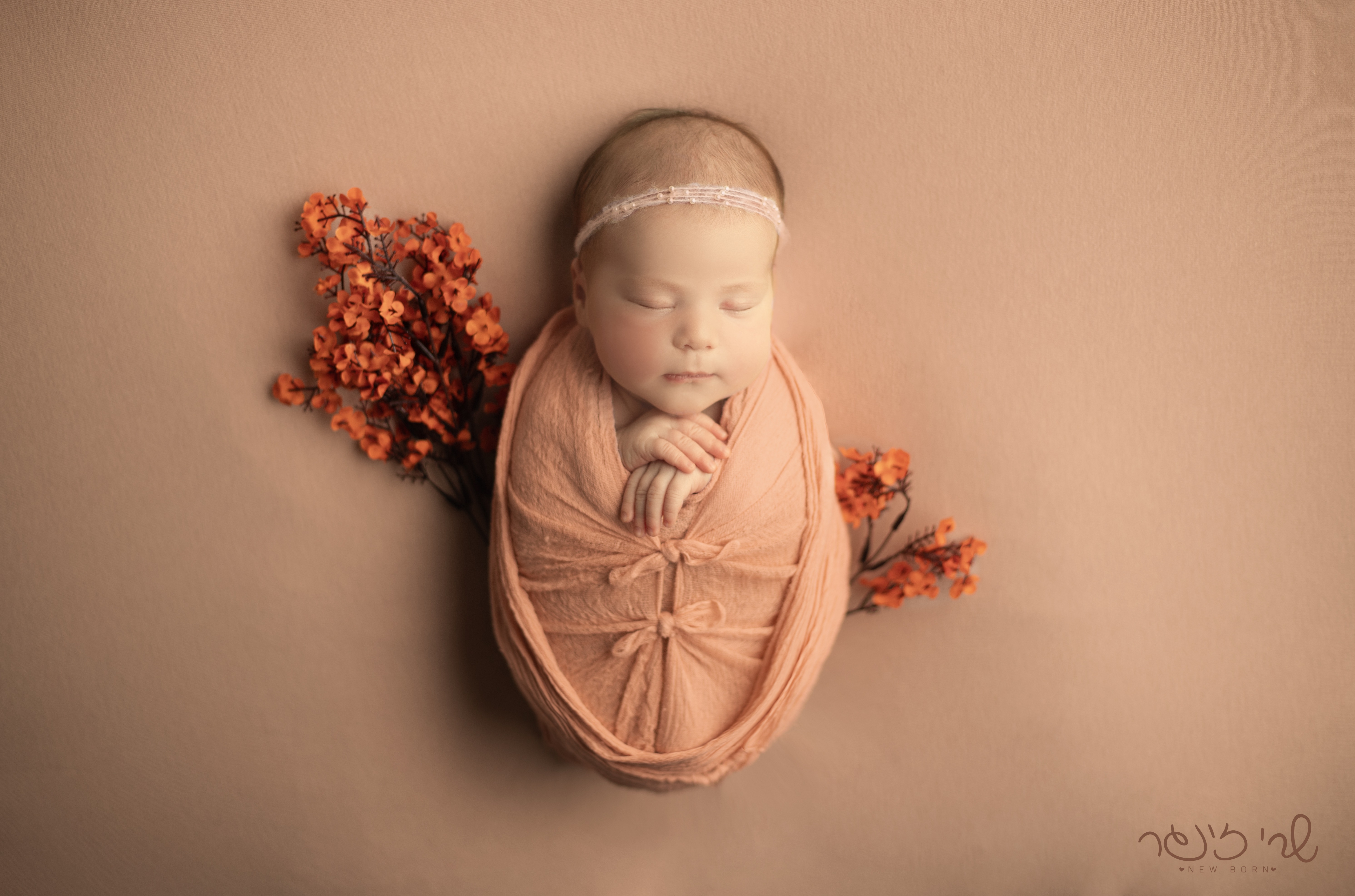 IMG_7054 לוגו.jpg