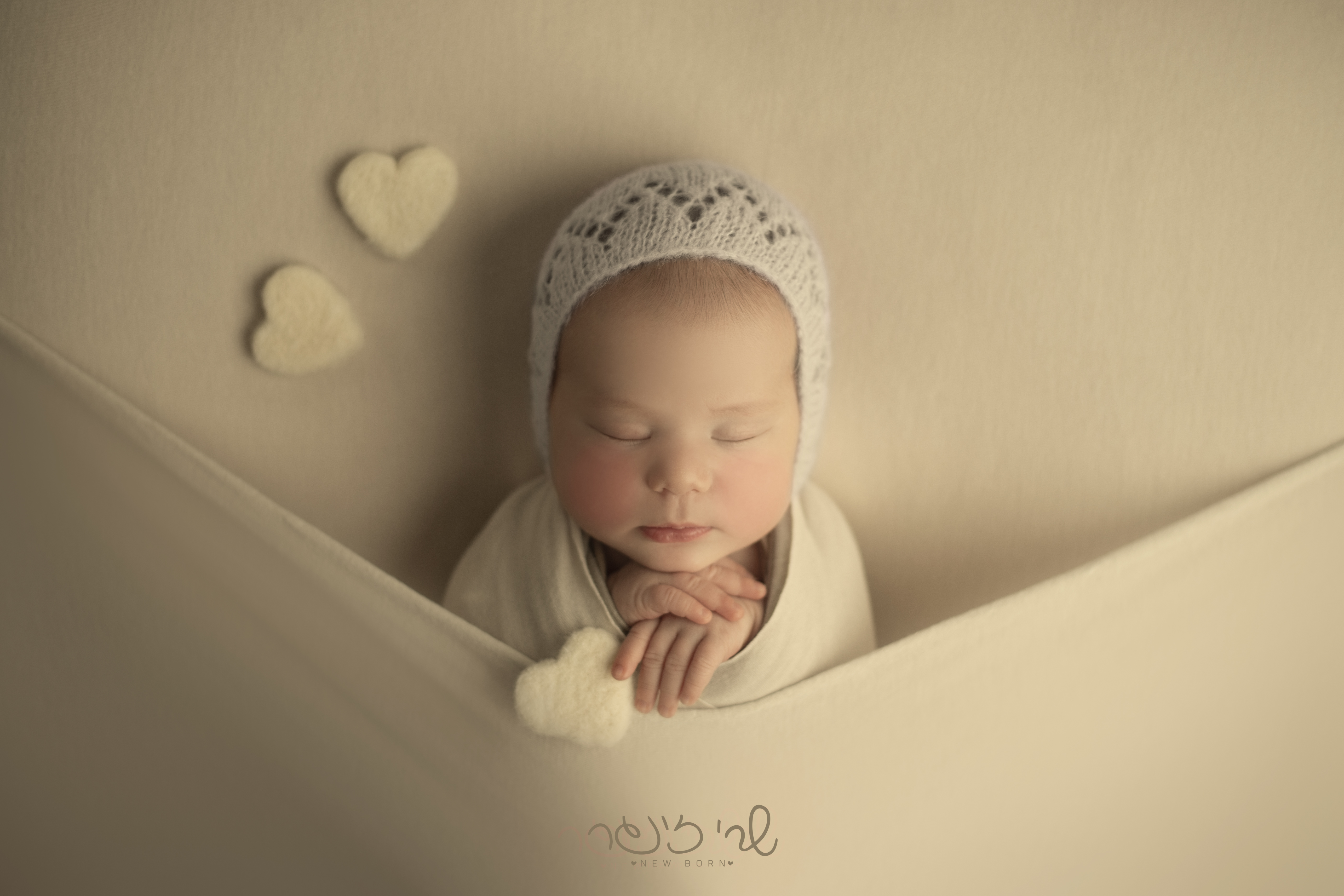 IMG_7085 לוגו.jpg