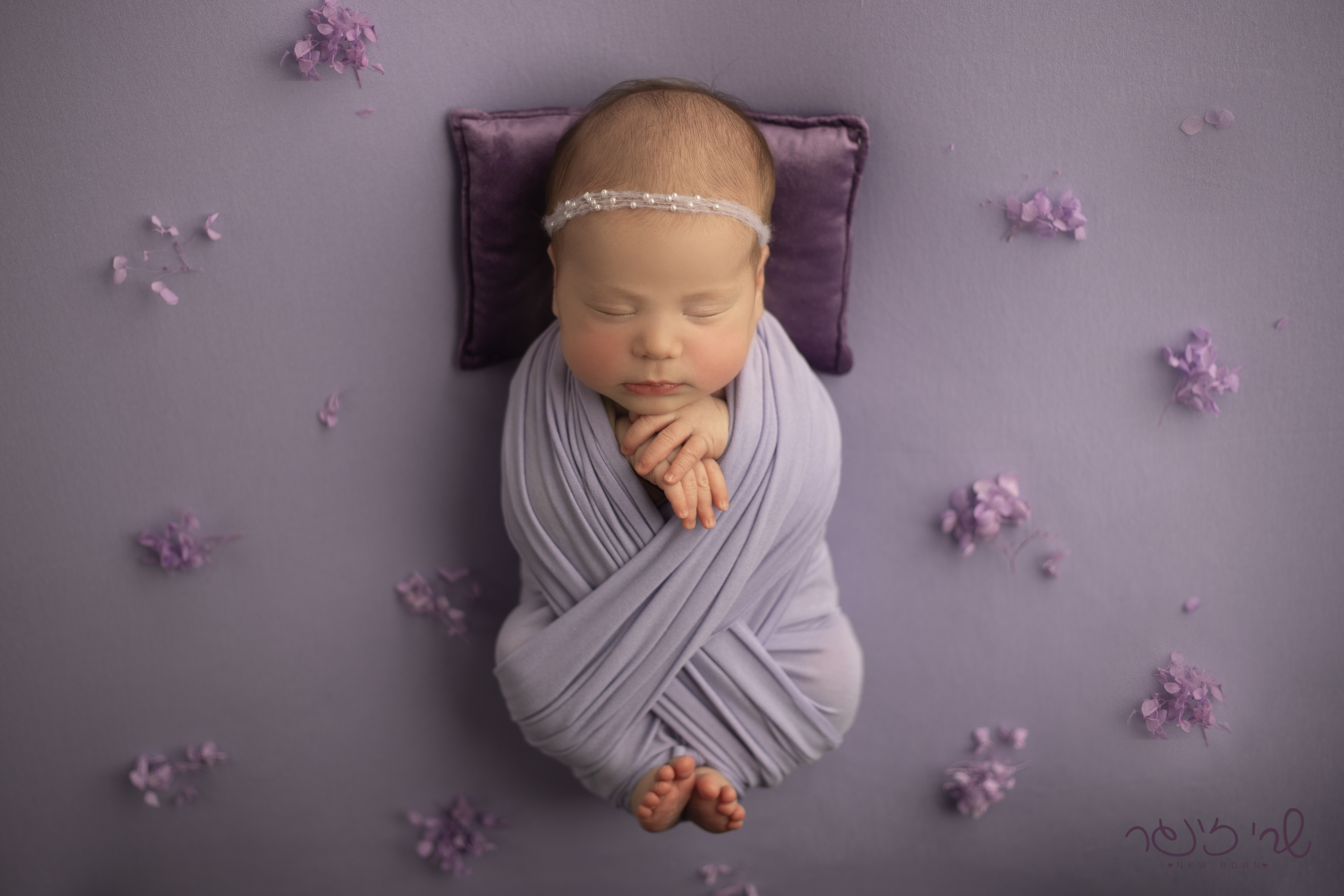 IMG_7106 לוגו.jpg