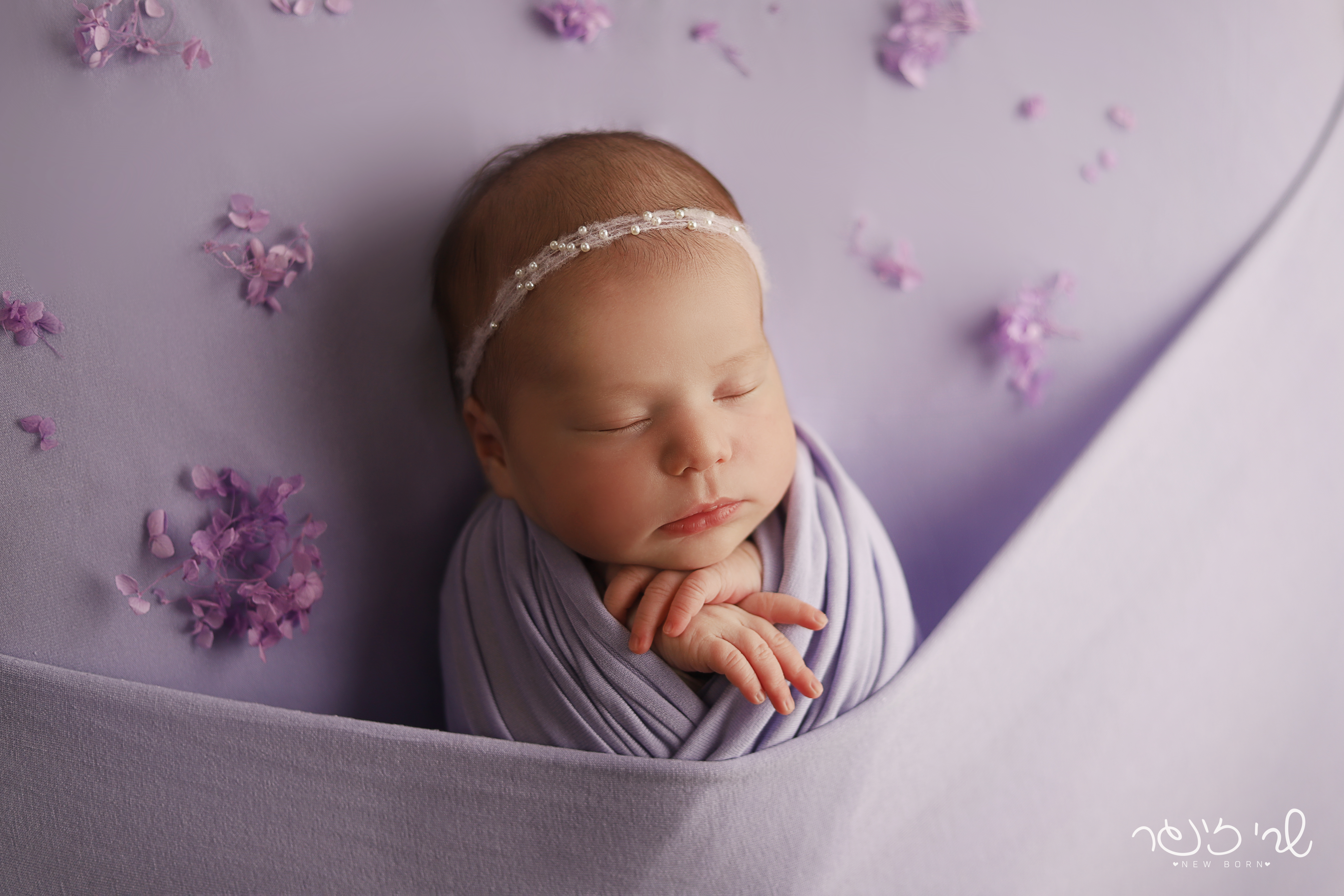 IMG_7119 לוגו.jpg