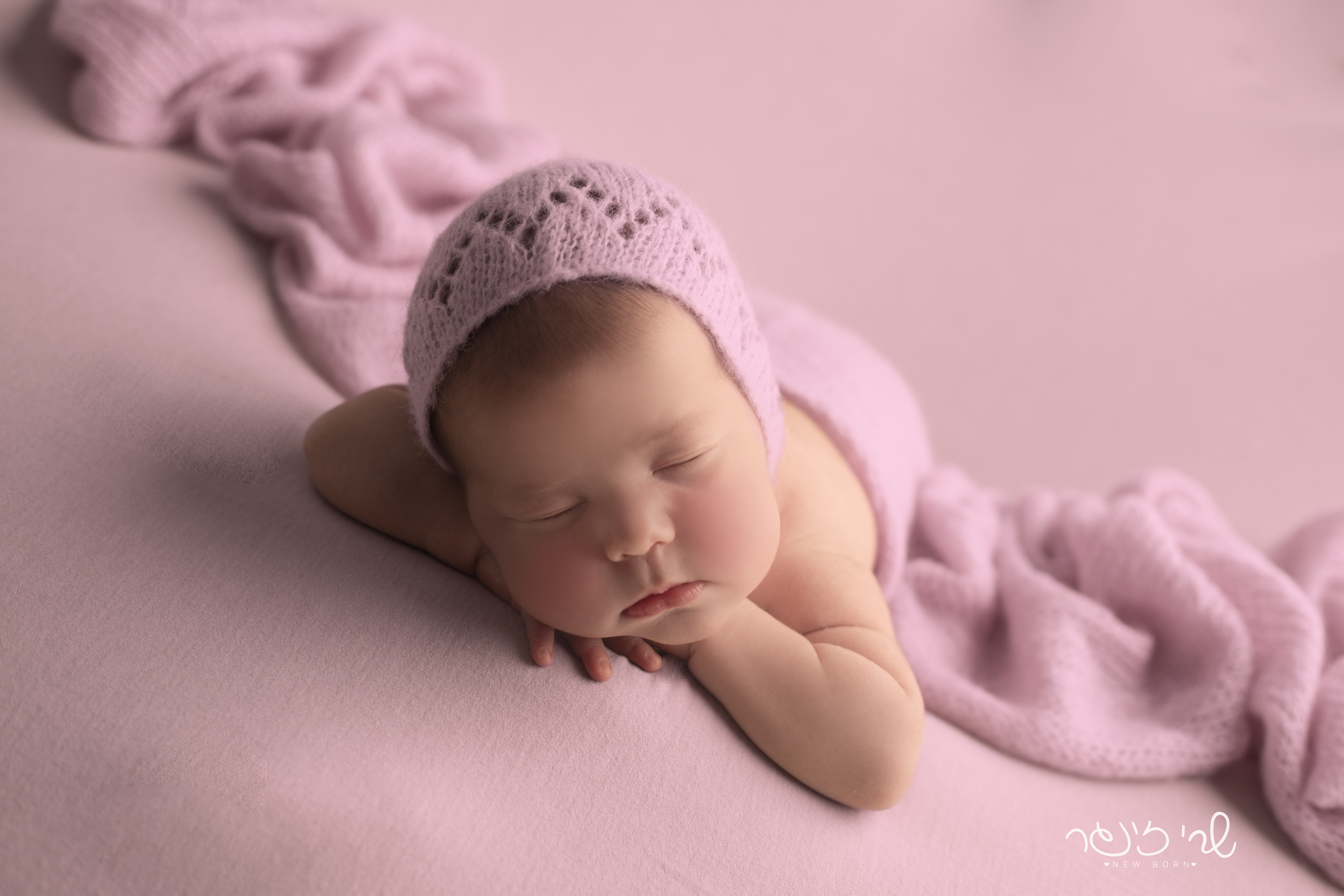 IMG_7147 לוגו.jpg