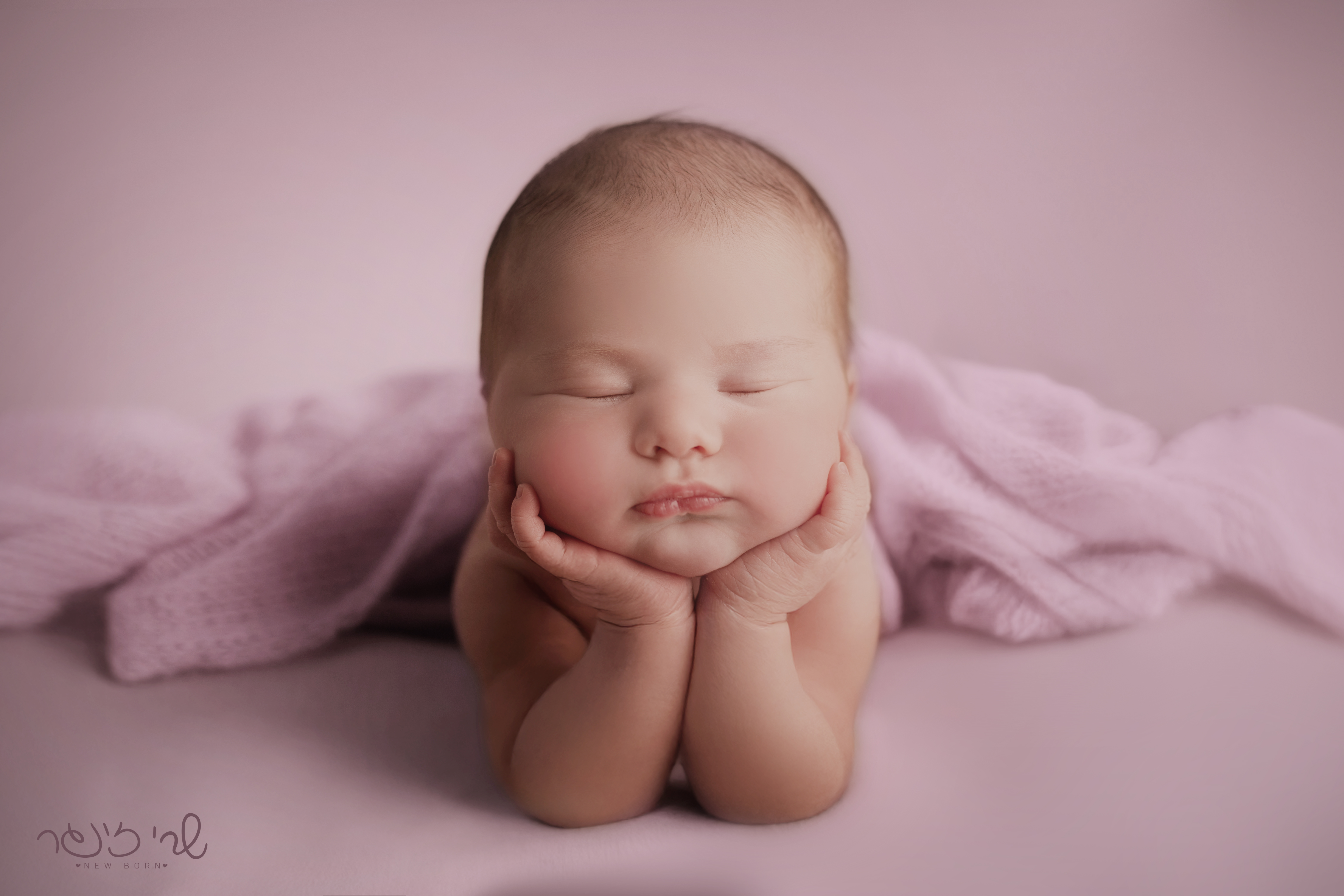 IMG_7158- לוגו.jpg