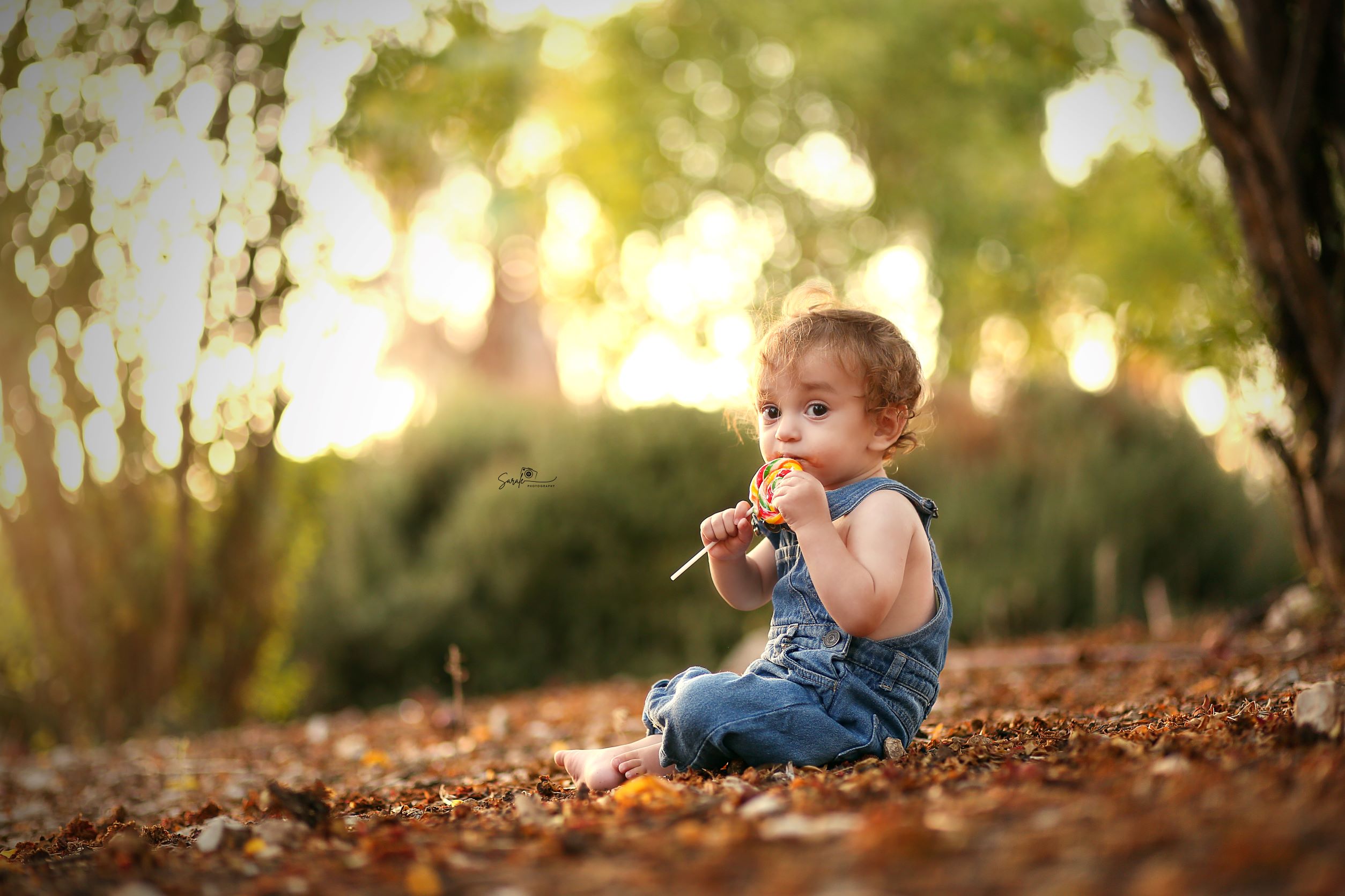 IMG_7212 copyלוגומוקטן.jpg