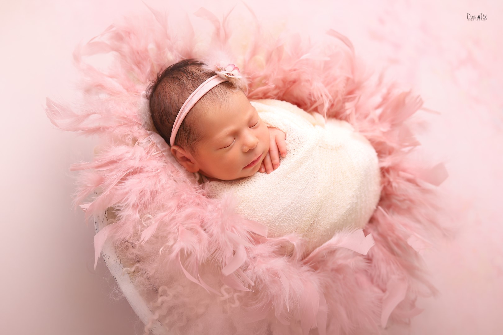 IMG_7931 (Large).jpg