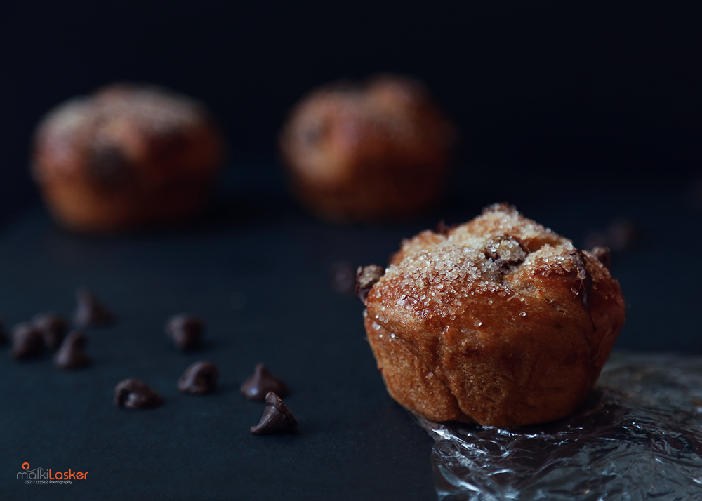 IMG_8691 Malki-Lasker.png