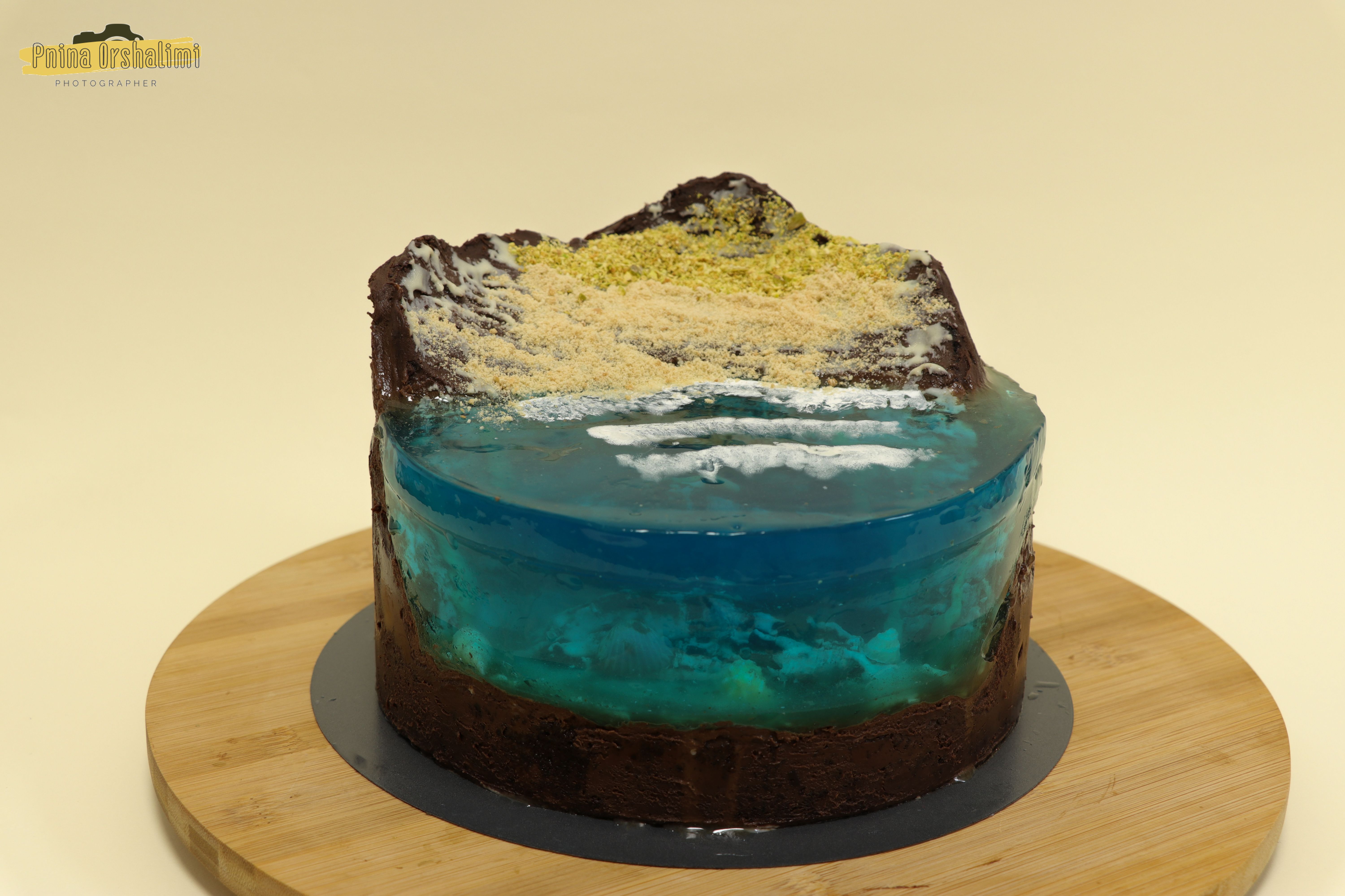 IMG_9321 לוגו.jpg