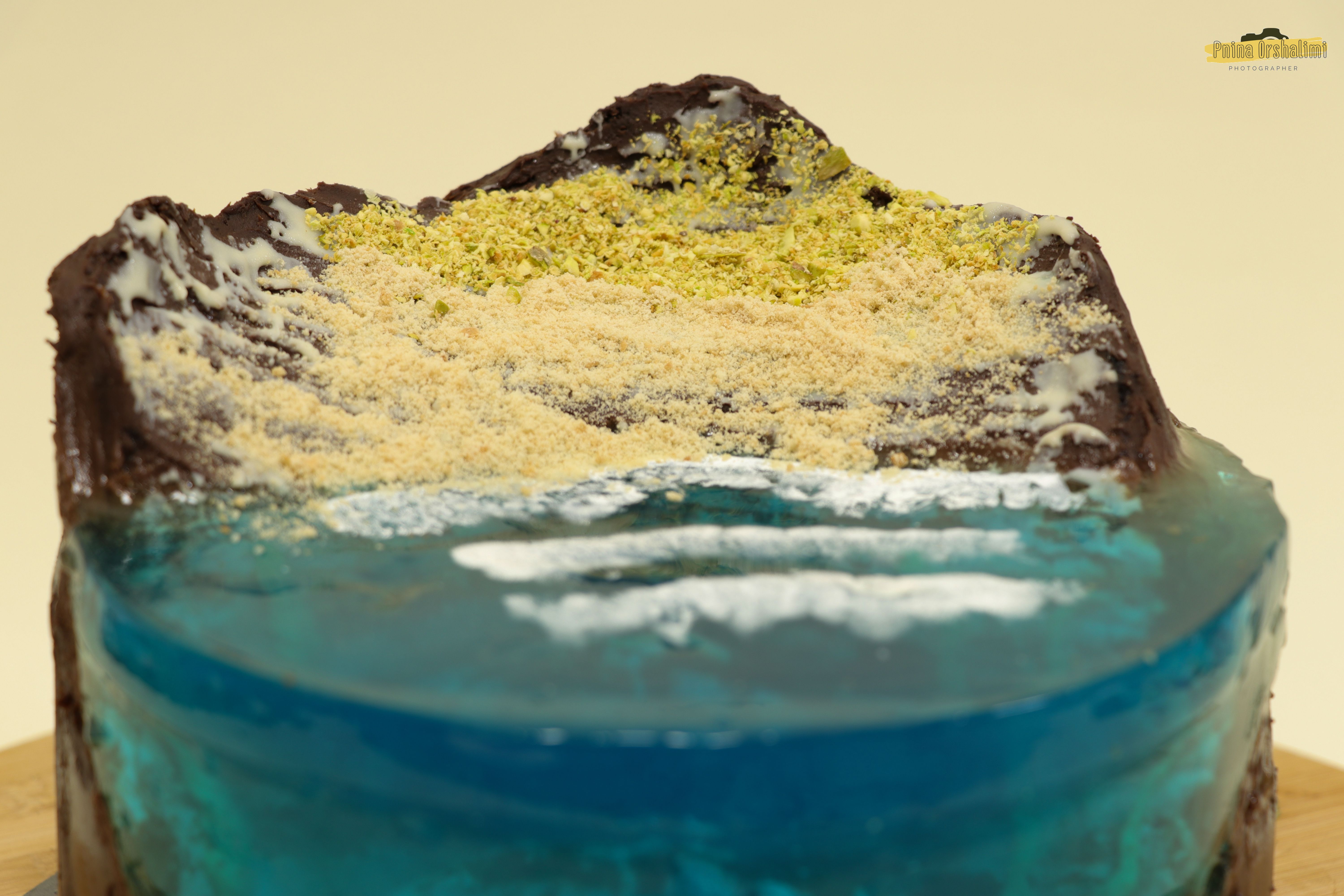 IMG_9323 לוגו.jpg