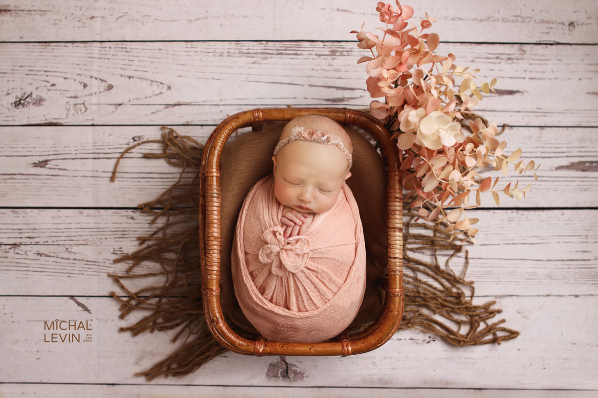 Michal Levin Photography 054-8471188 (8).jpg