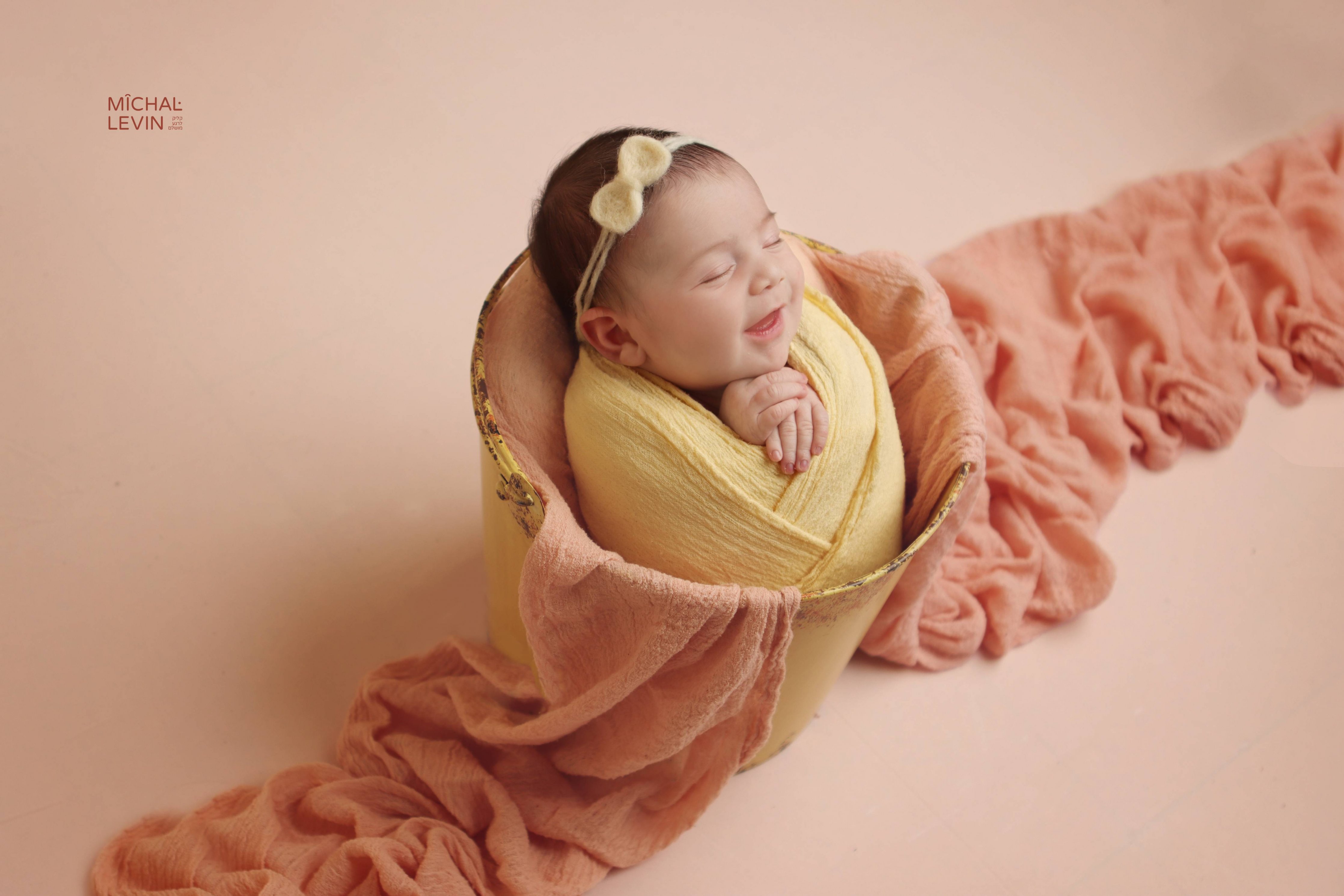 Michal Levin Photography