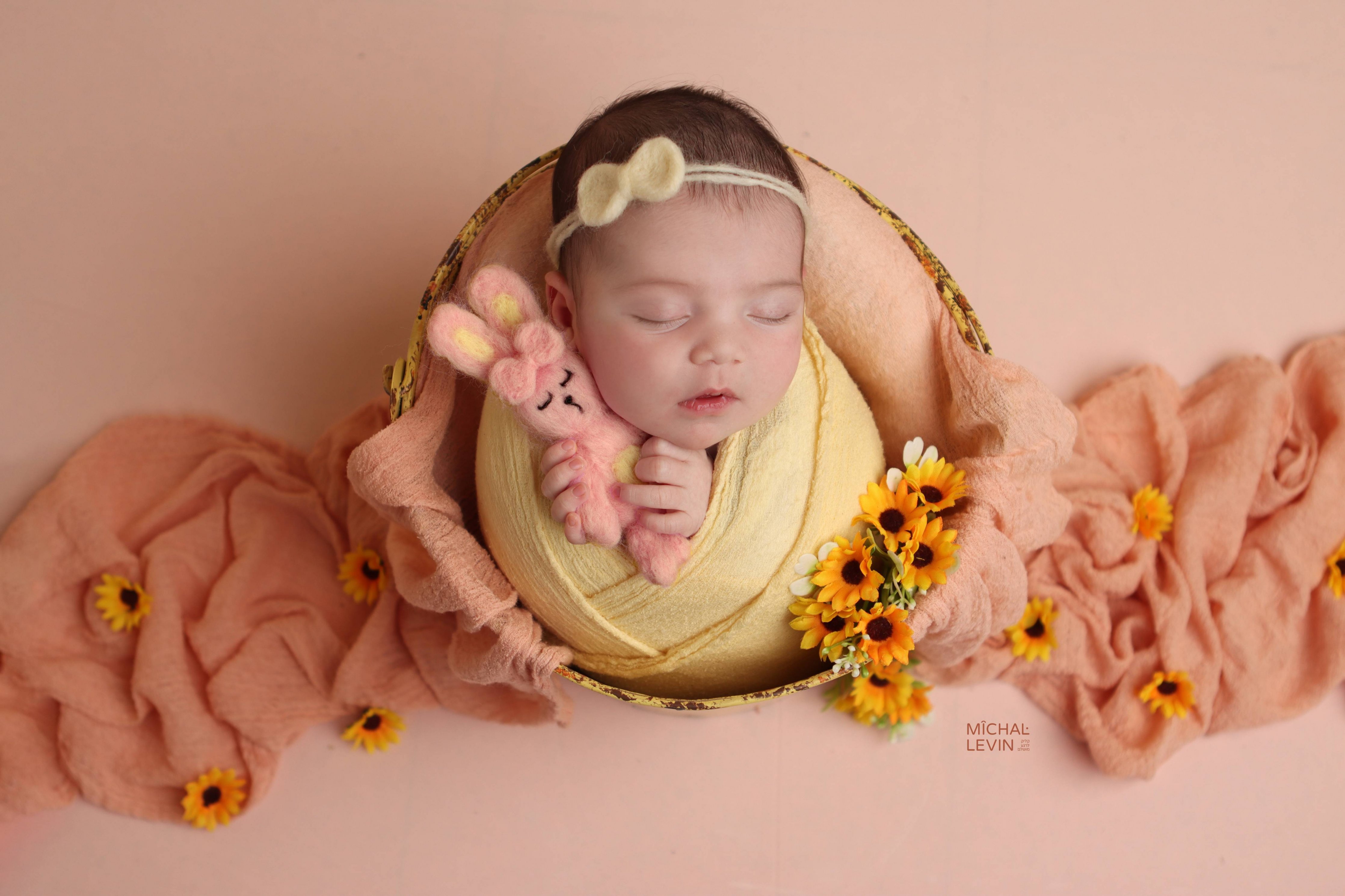 Michal Levin Photography