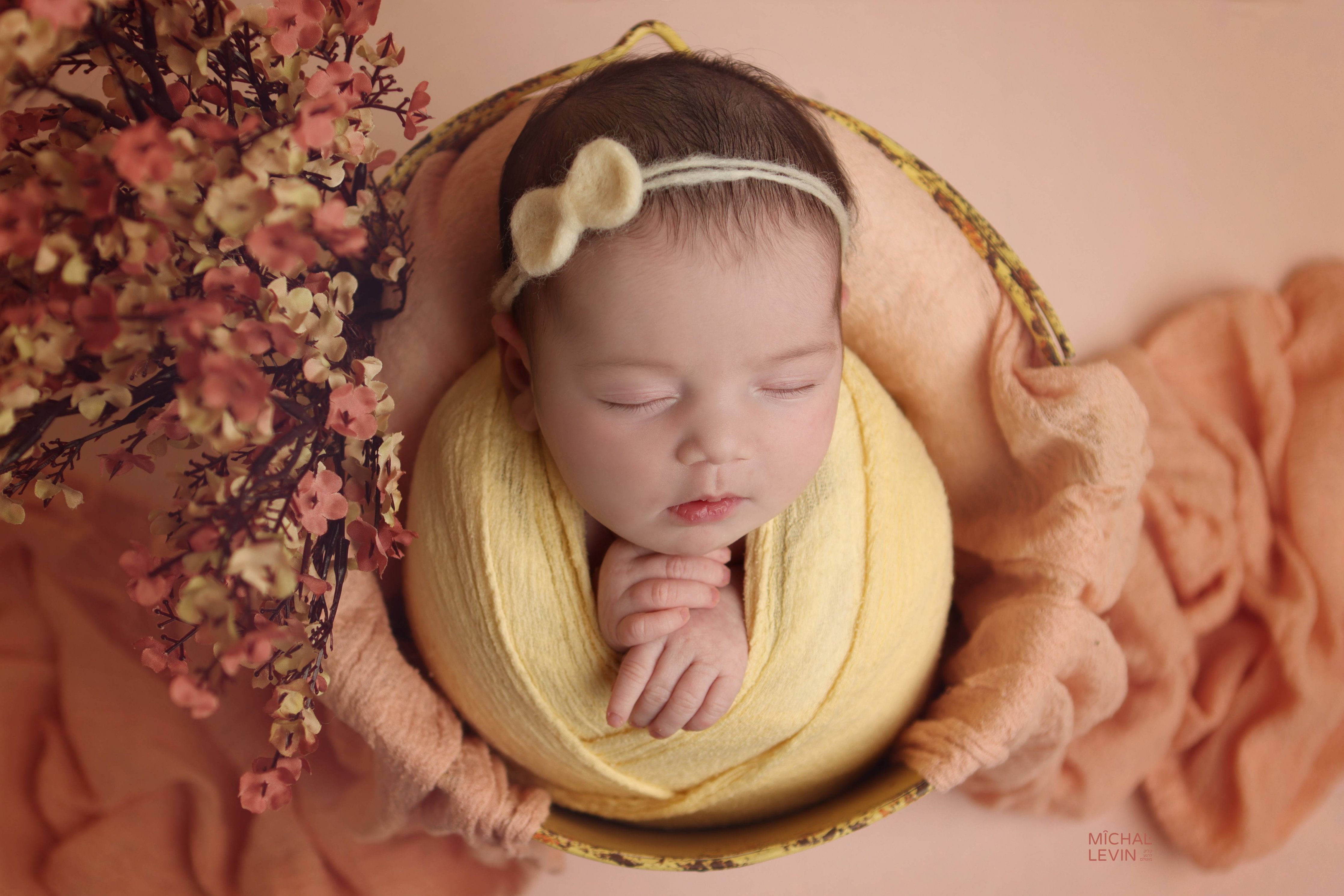 Michal Levin Photography