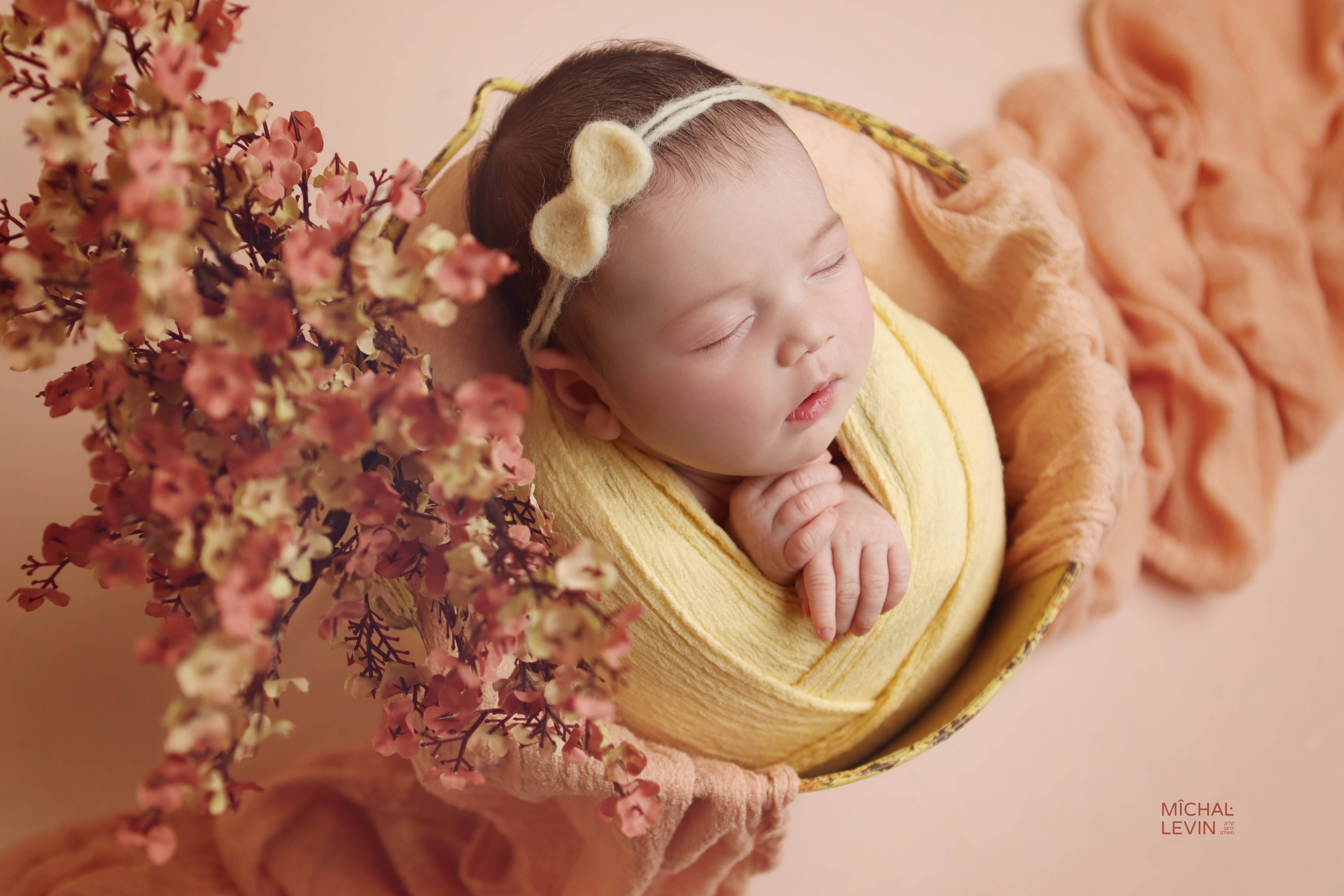 Michal Levin Photography