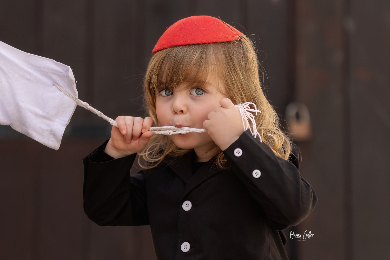 NAP_7971 (Large).jpg