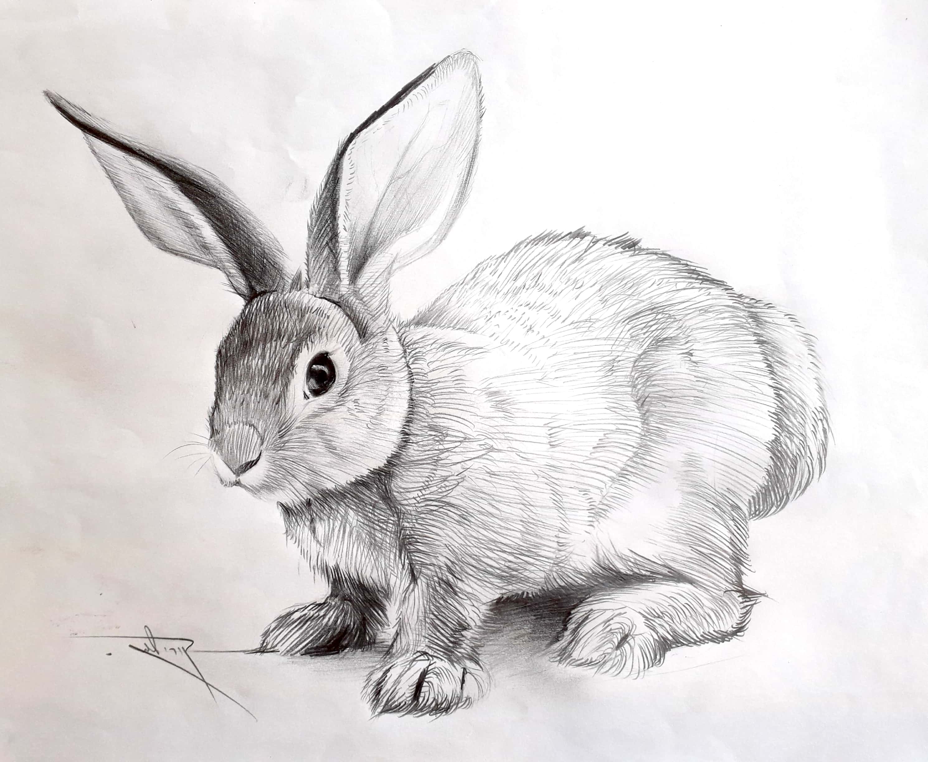 New Doc 2018-10-15 10.16.52_1(2)