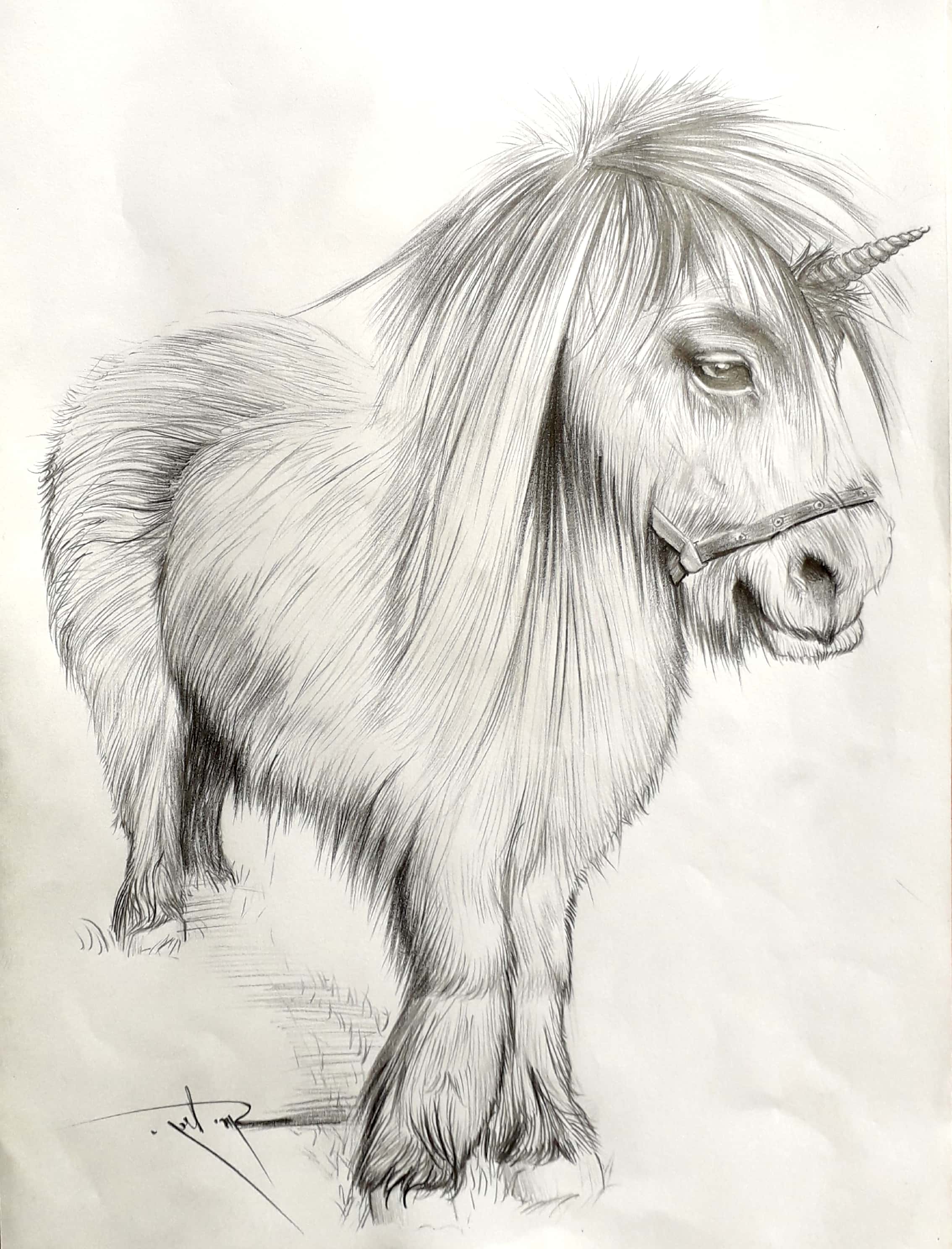 New Doc 2018-10-15 10.16.52_2(2)