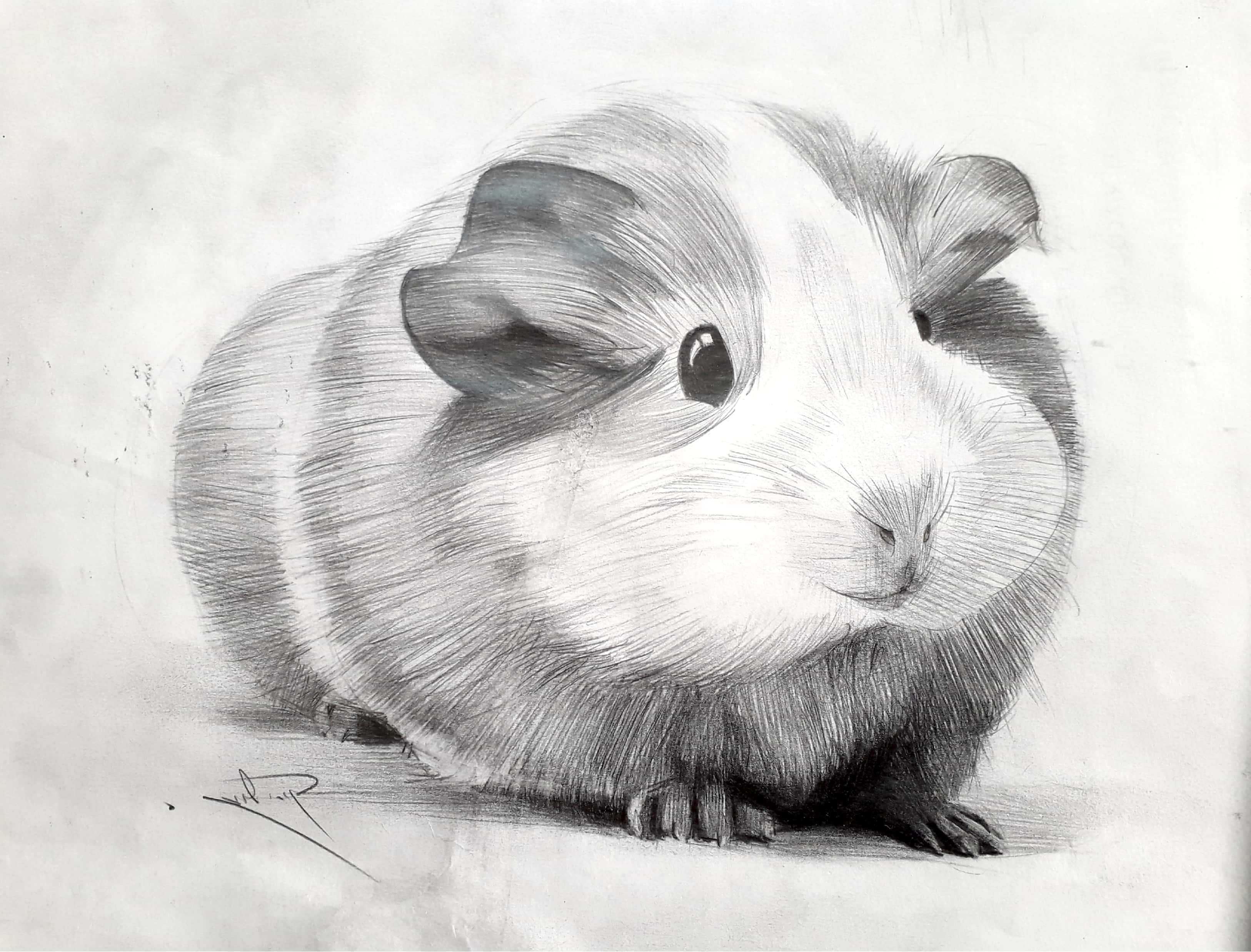 New Doc 2019-01-15 13.29.52_1