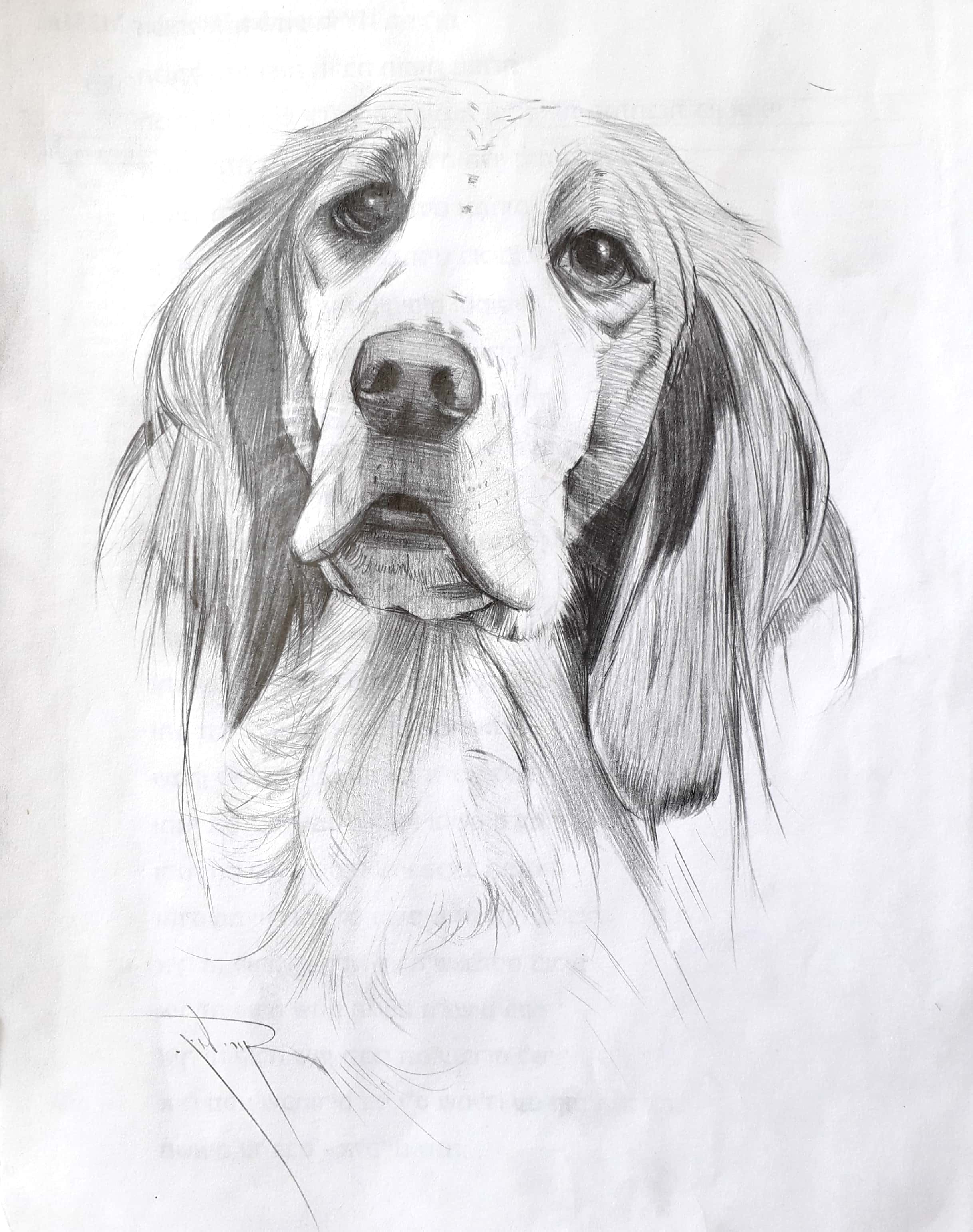 New Doc 2019-01-15 13.29.52_2