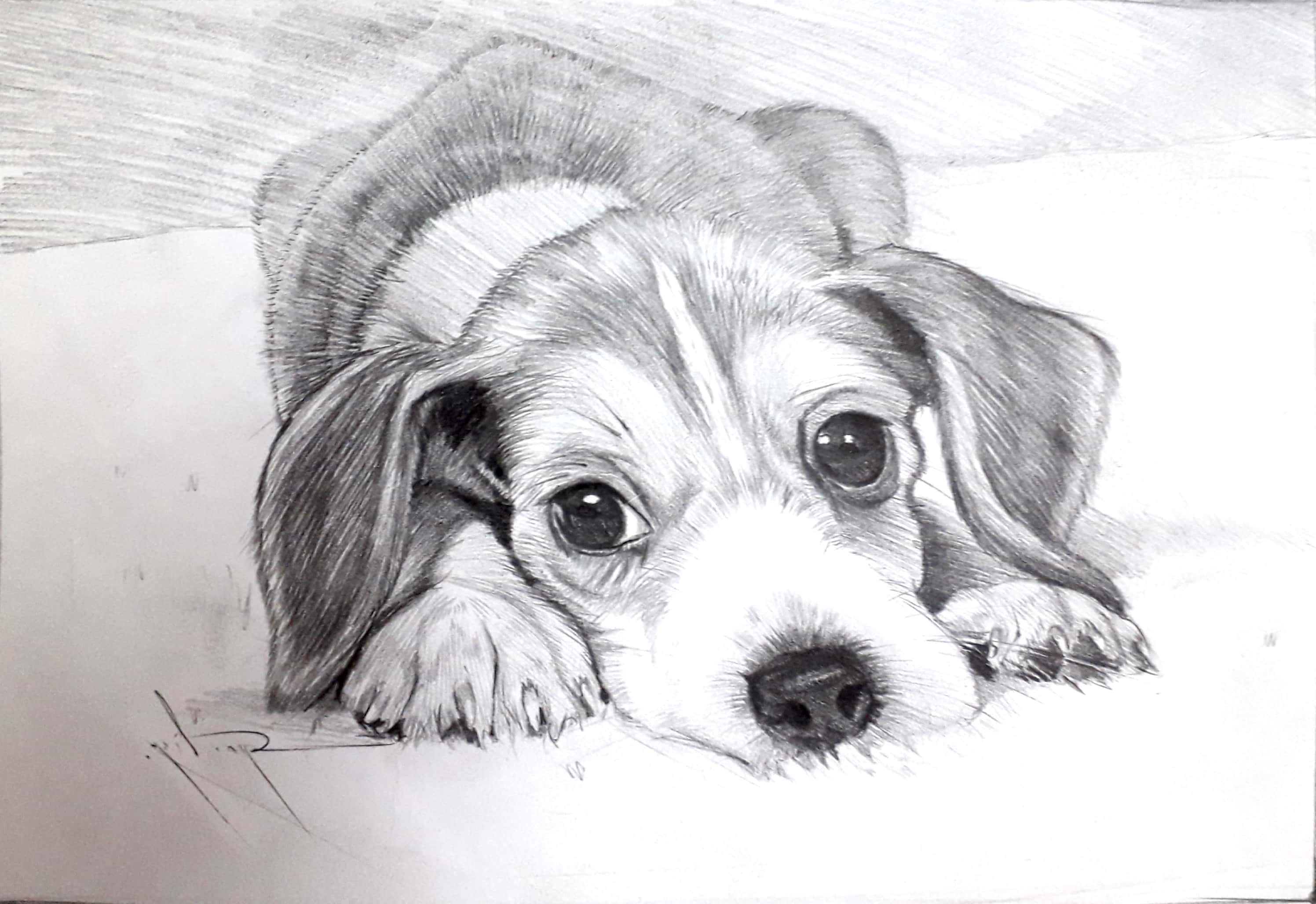 New Doc 2019-01-31 19.17.08_3