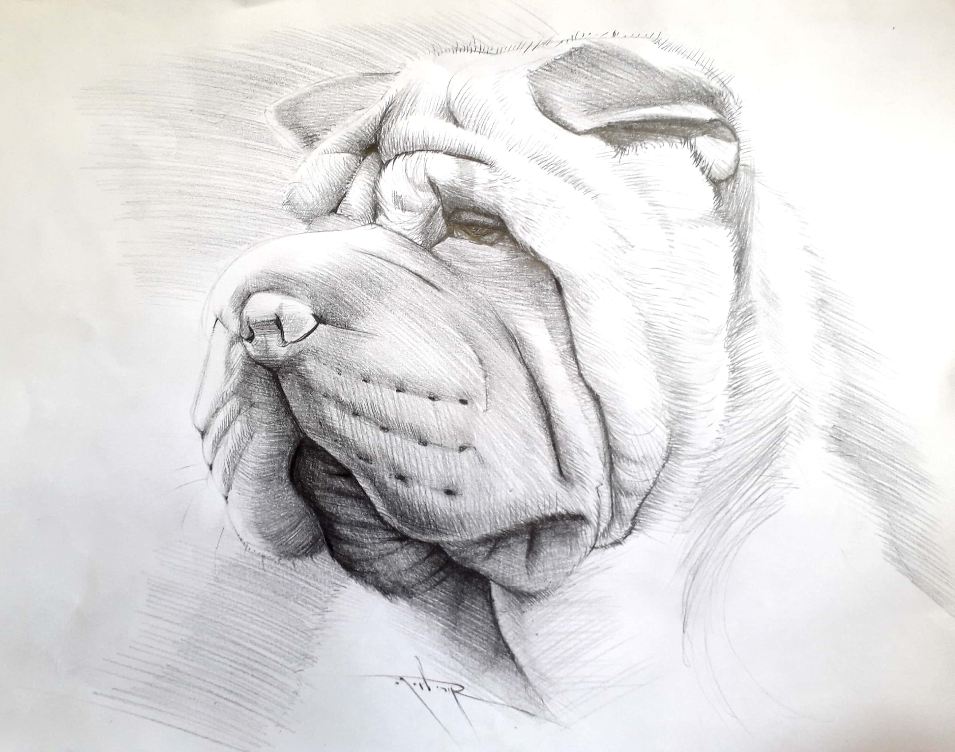 New Doc 2019-05-07 15.31.51_3