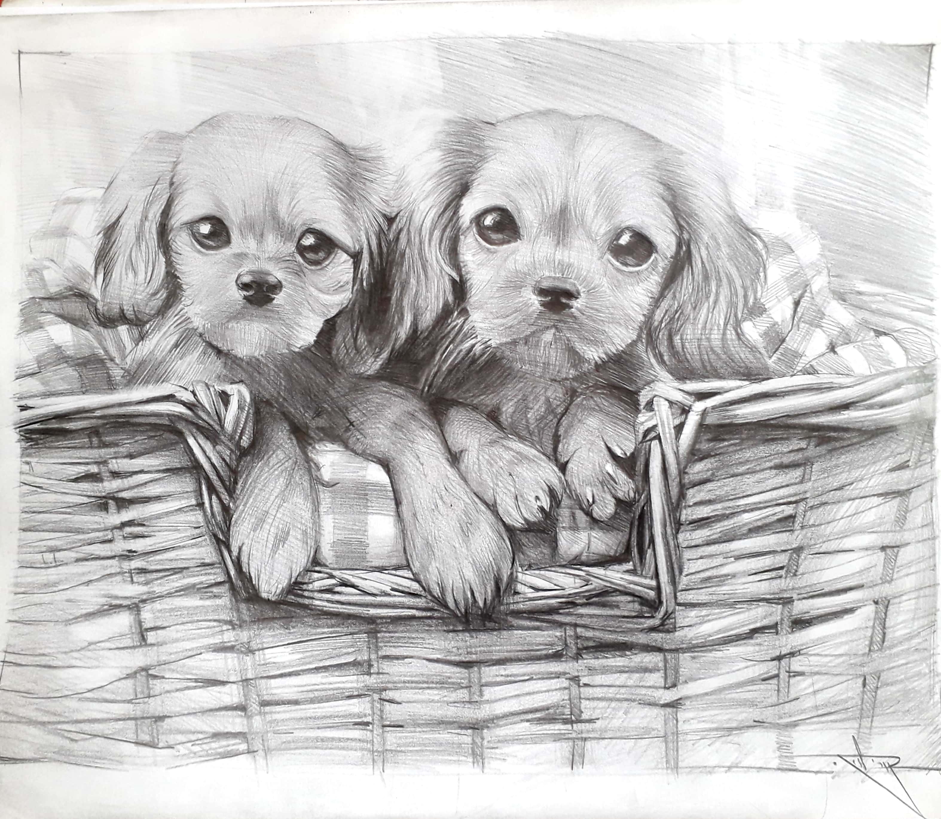 New Doc 2019-05-26 15.30.17_2